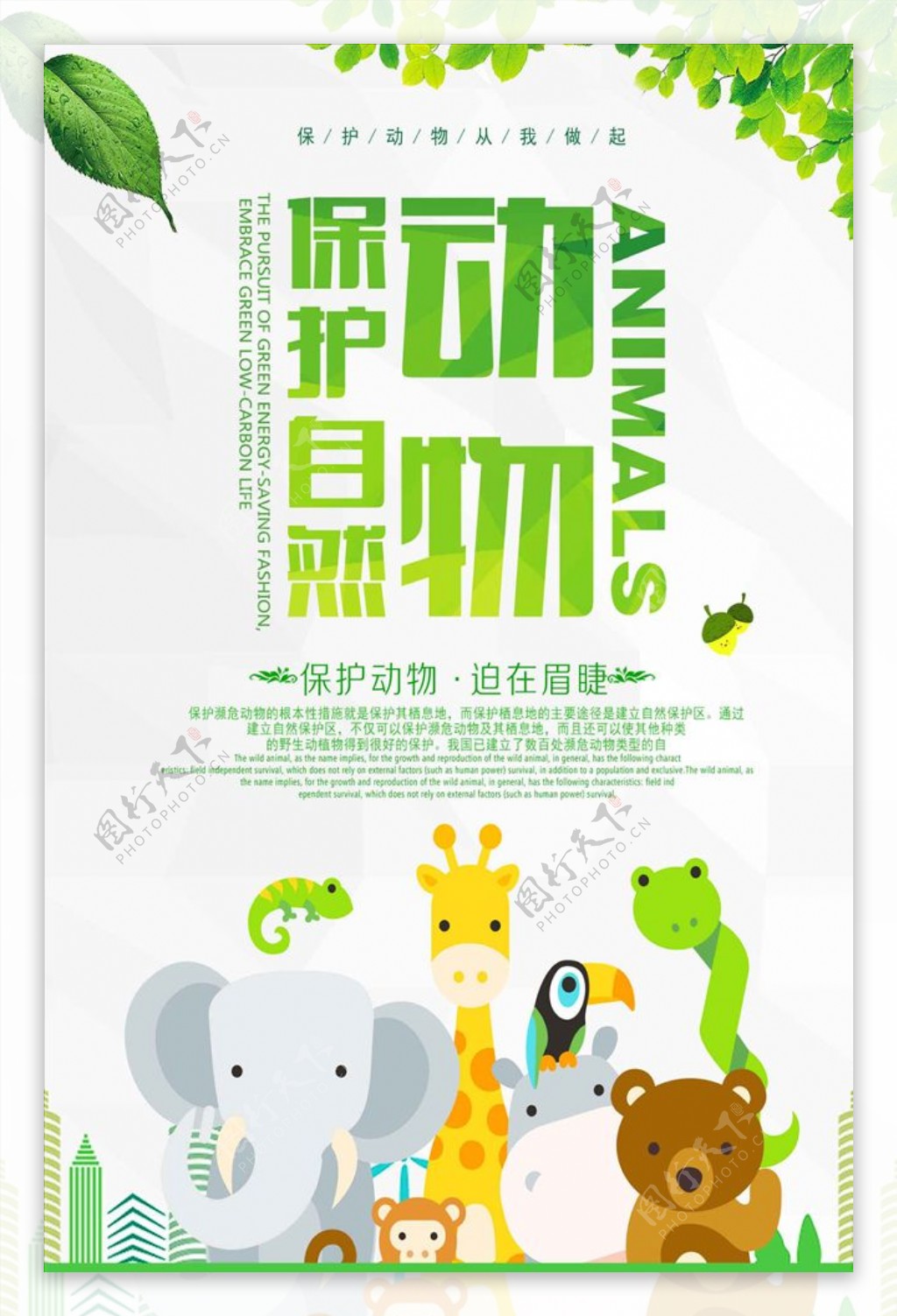 小清新保护动物海报