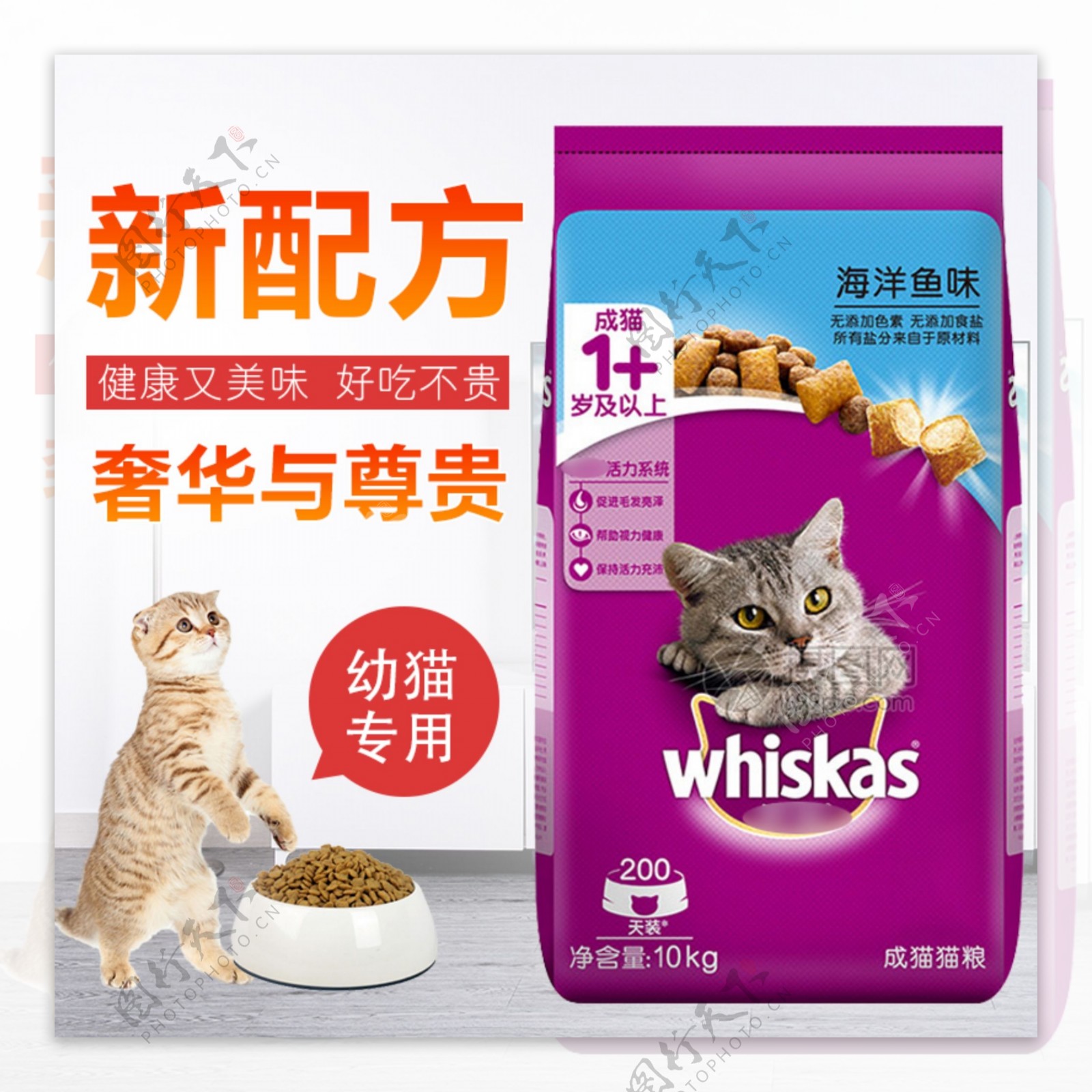 宠物用品猫粮淘宝主图