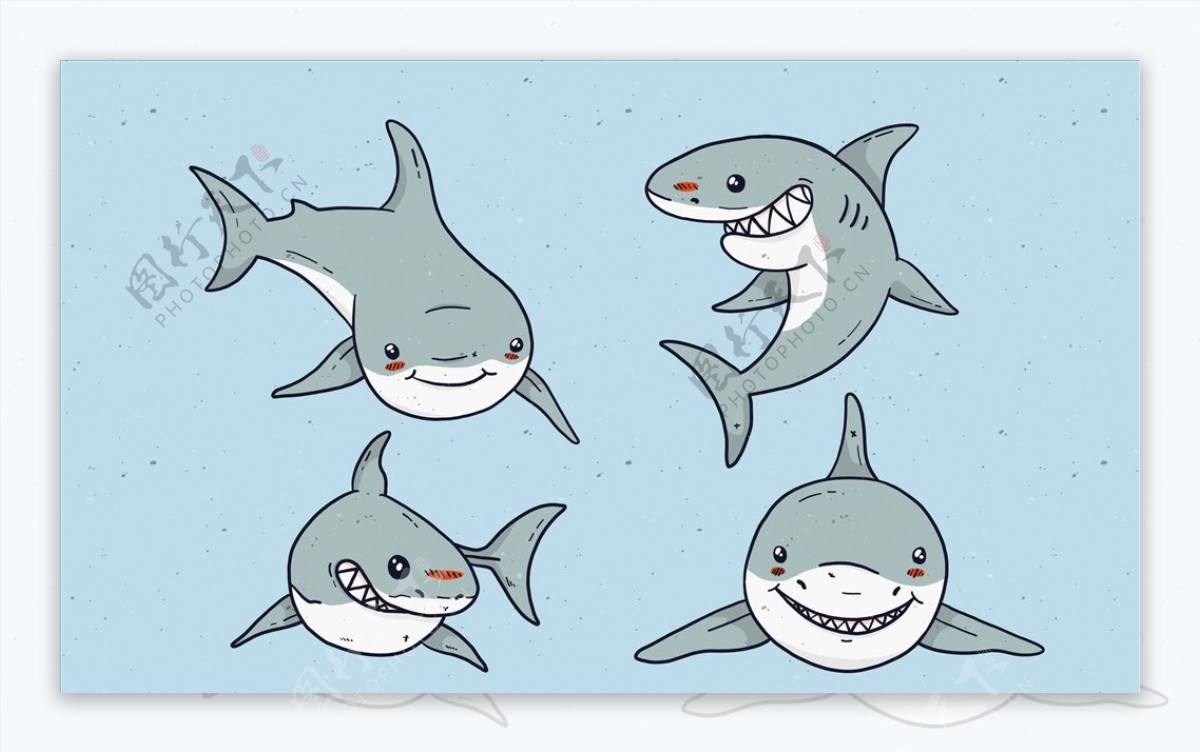 矢量鲨鱼集合