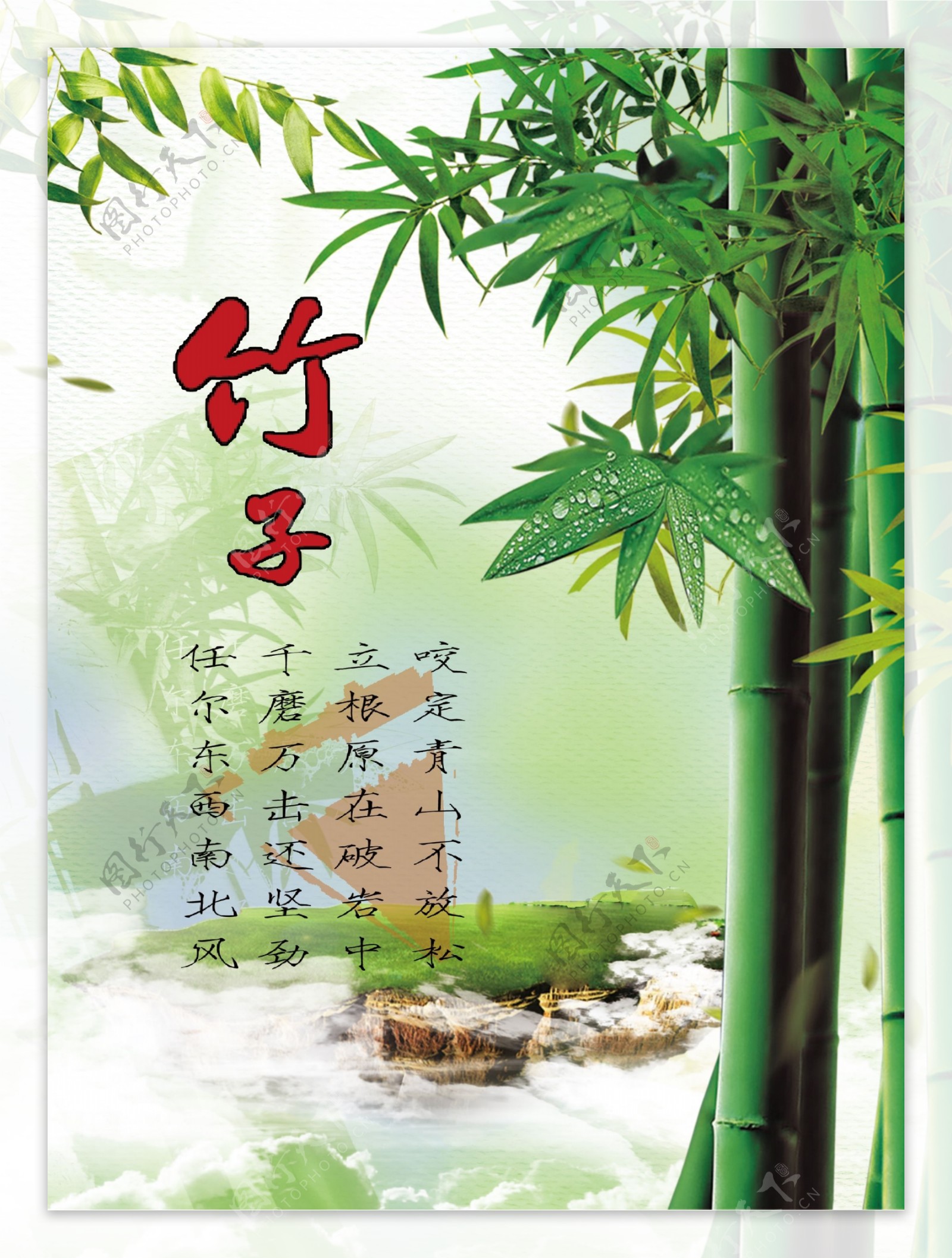 竹子海报