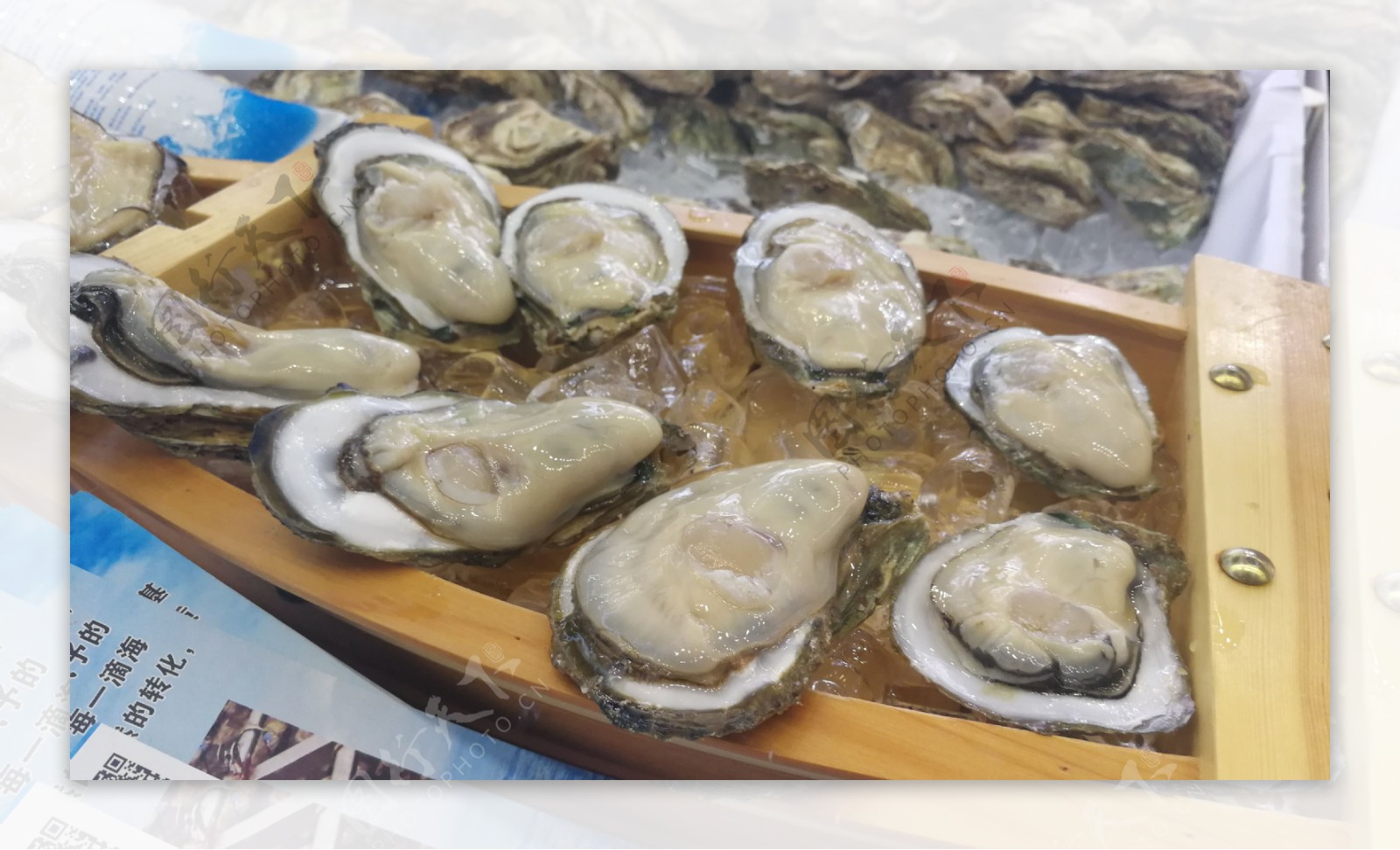 海鲜食材海鱼鱼类海虾