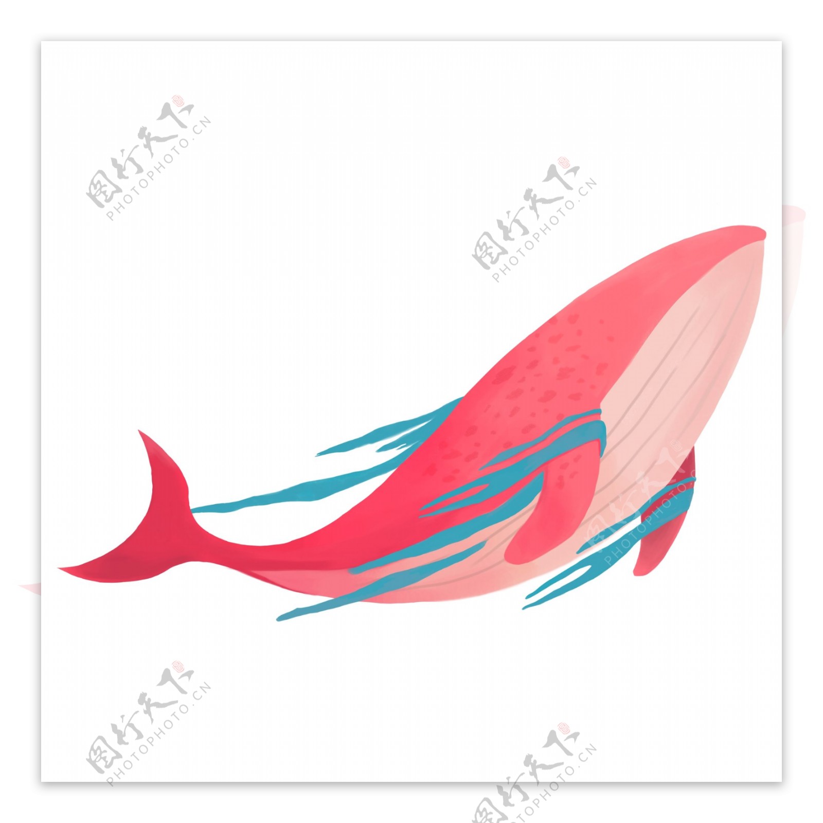 红色海洋鲸鱼插画