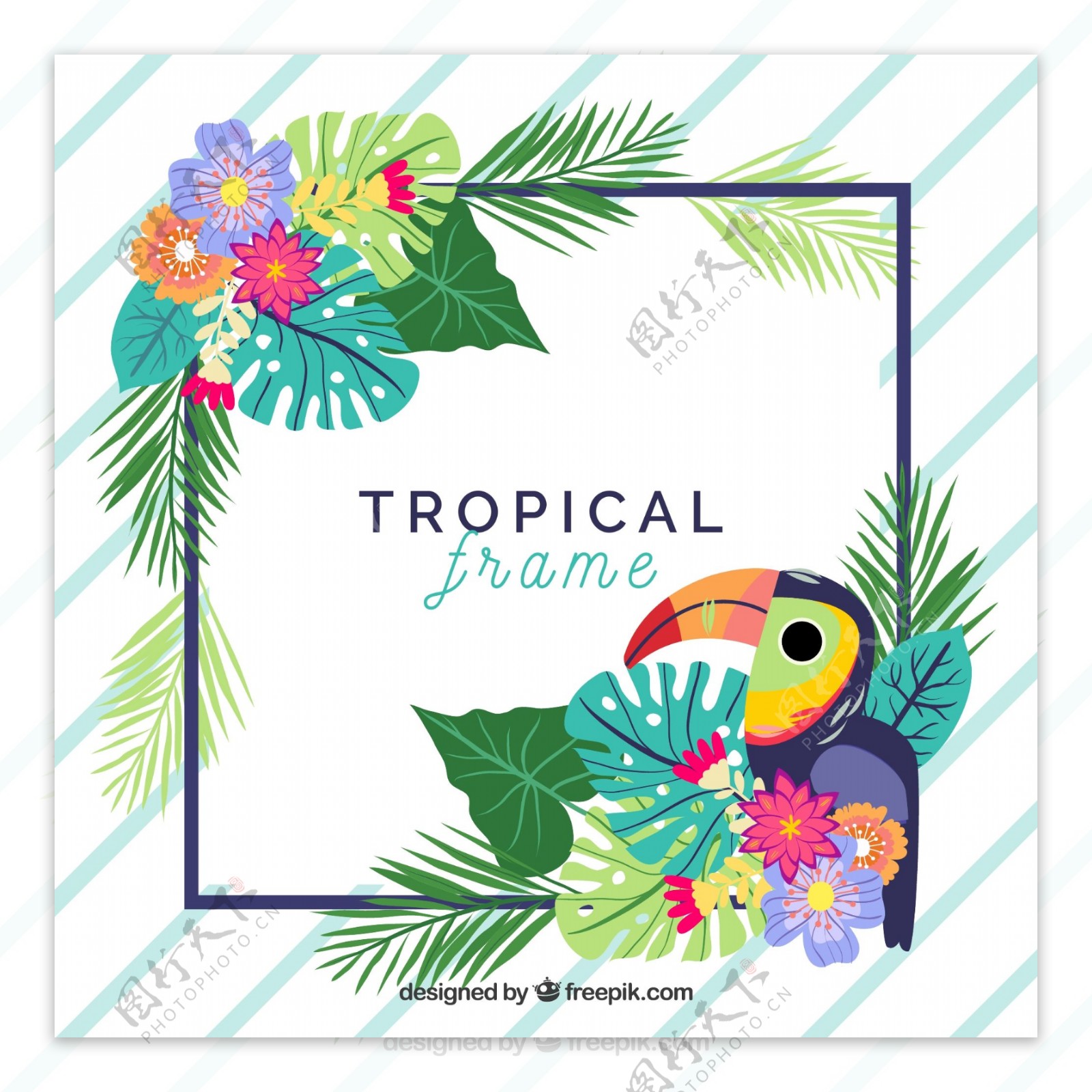 创意热带花卉和巨嘴鸟框架