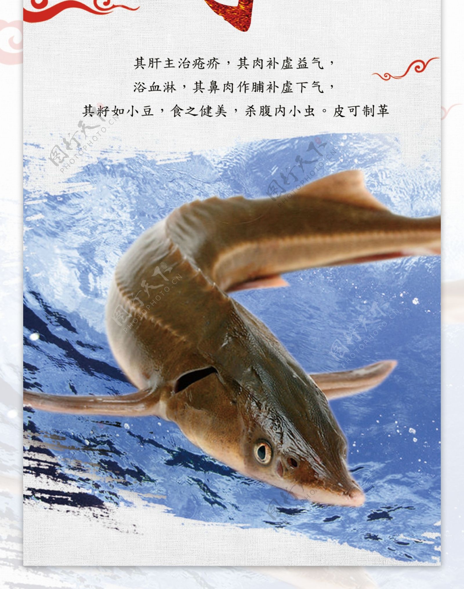 海鲜中华鲟中国风梅花鱼