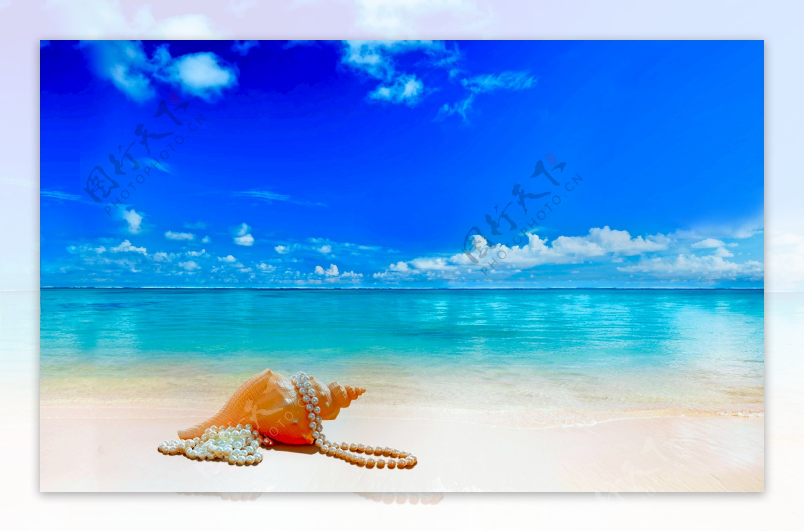 海滩海螺
