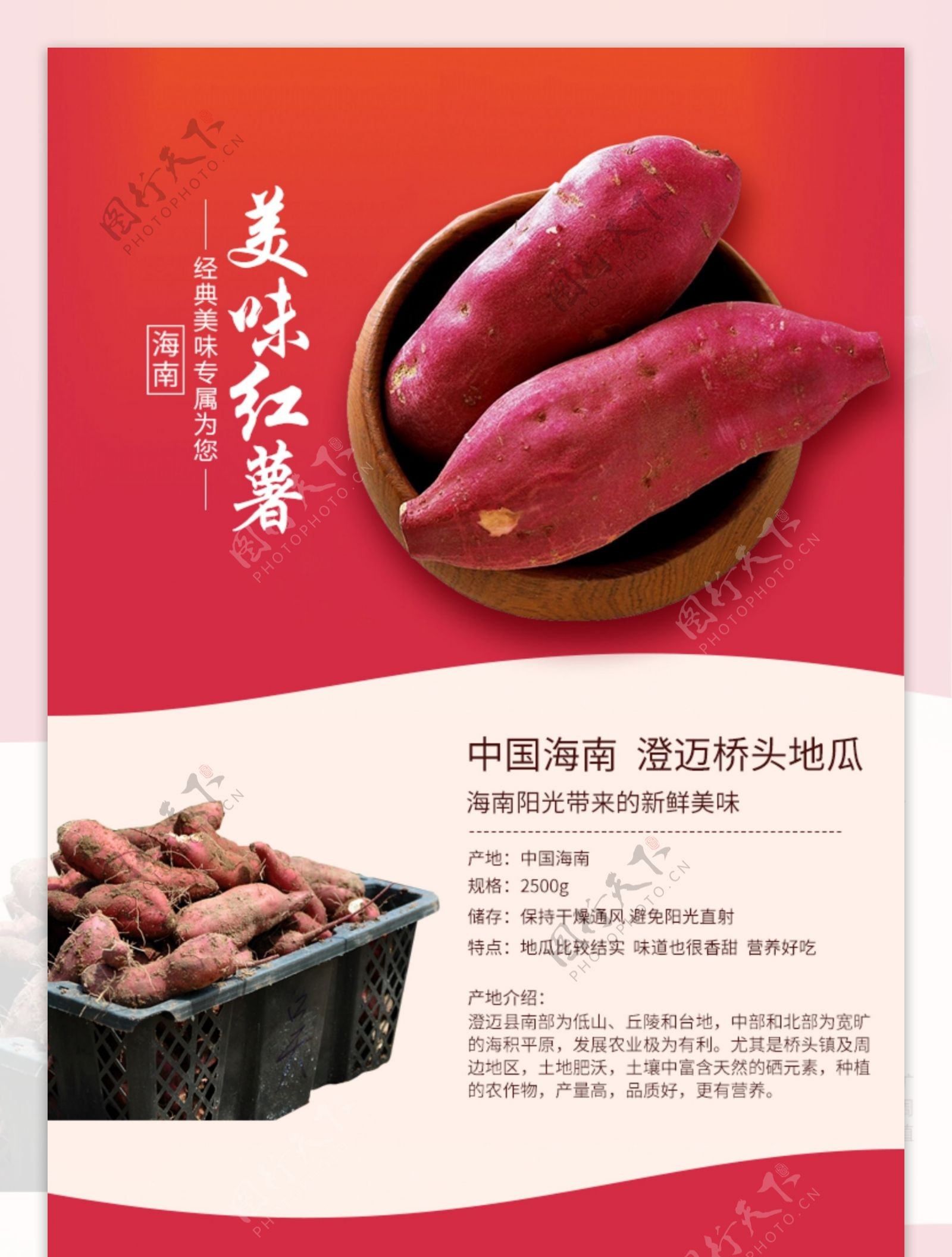 美味红薯优惠促销淘宝详情页