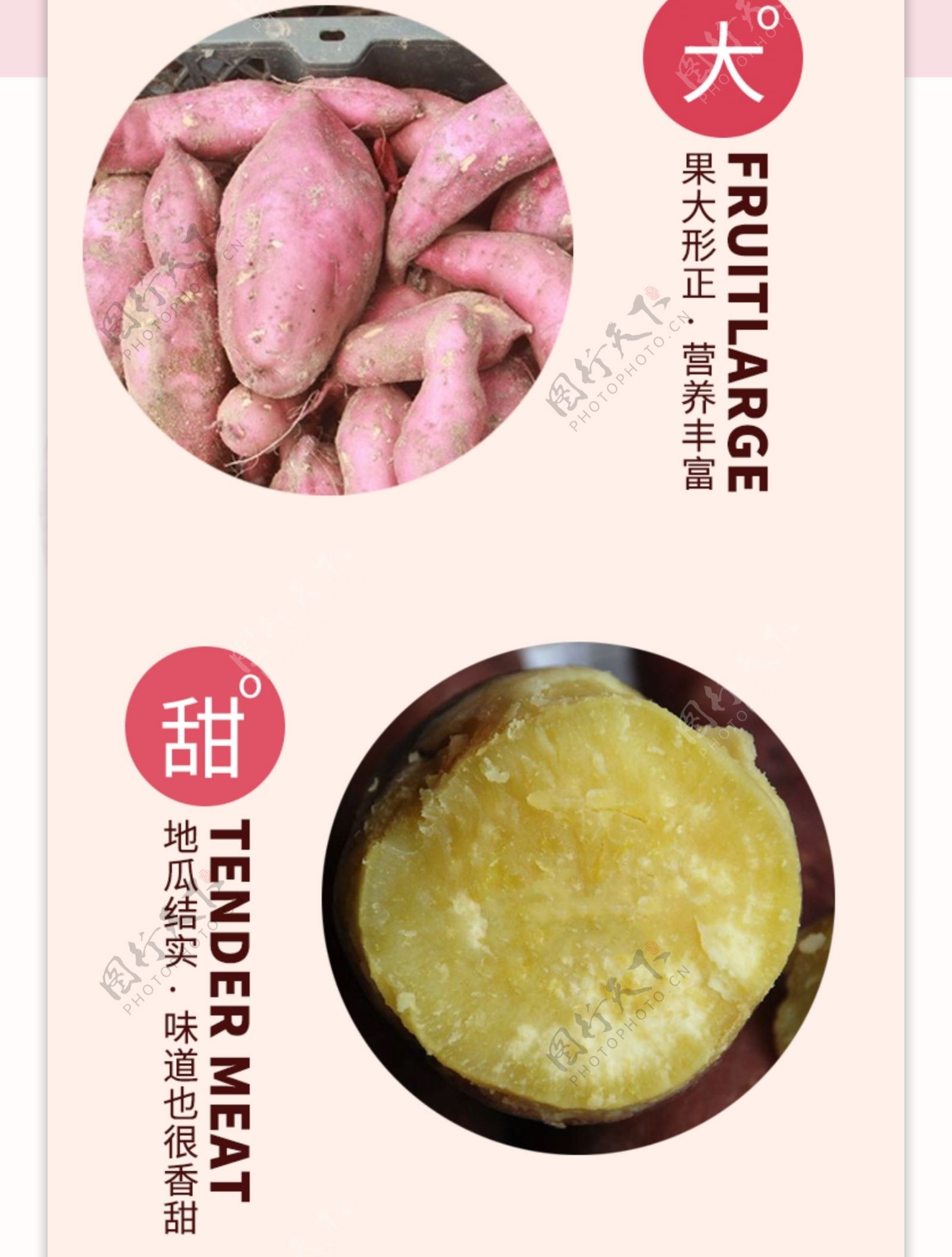 美味红薯优惠促销淘宝详情页