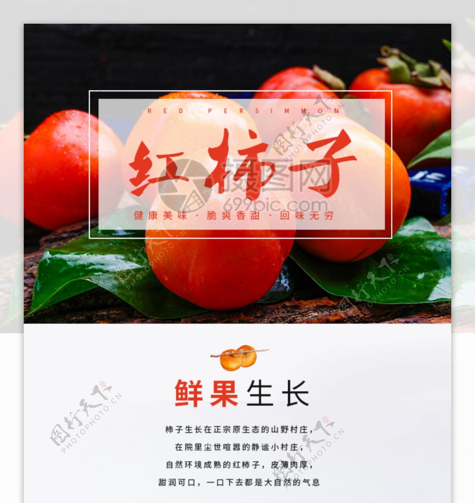 新鲜香甜红柿子促销淘宝详情页