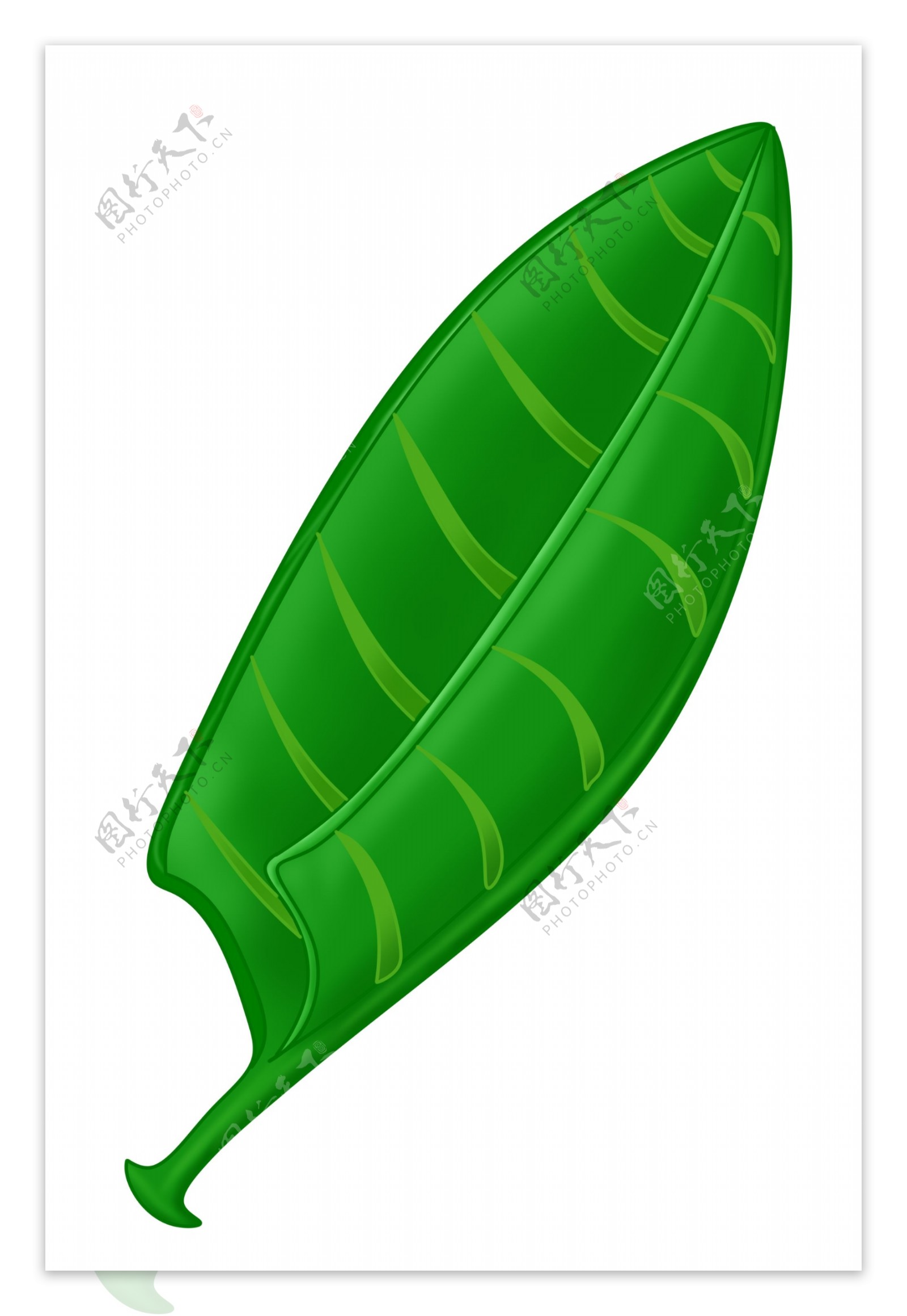 绿油油叶子装饰