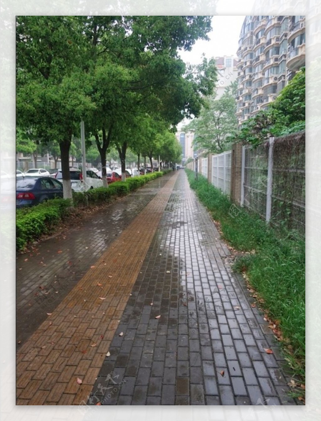 雨中小巷