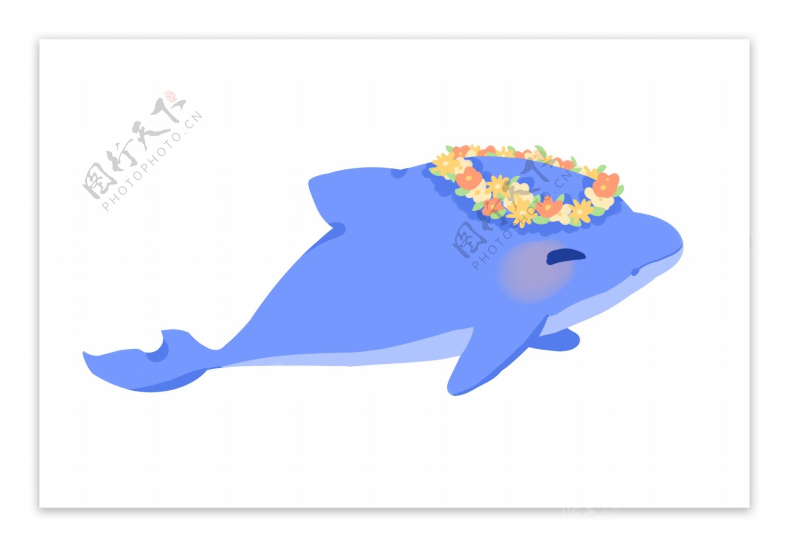 花环海豚卡通动物