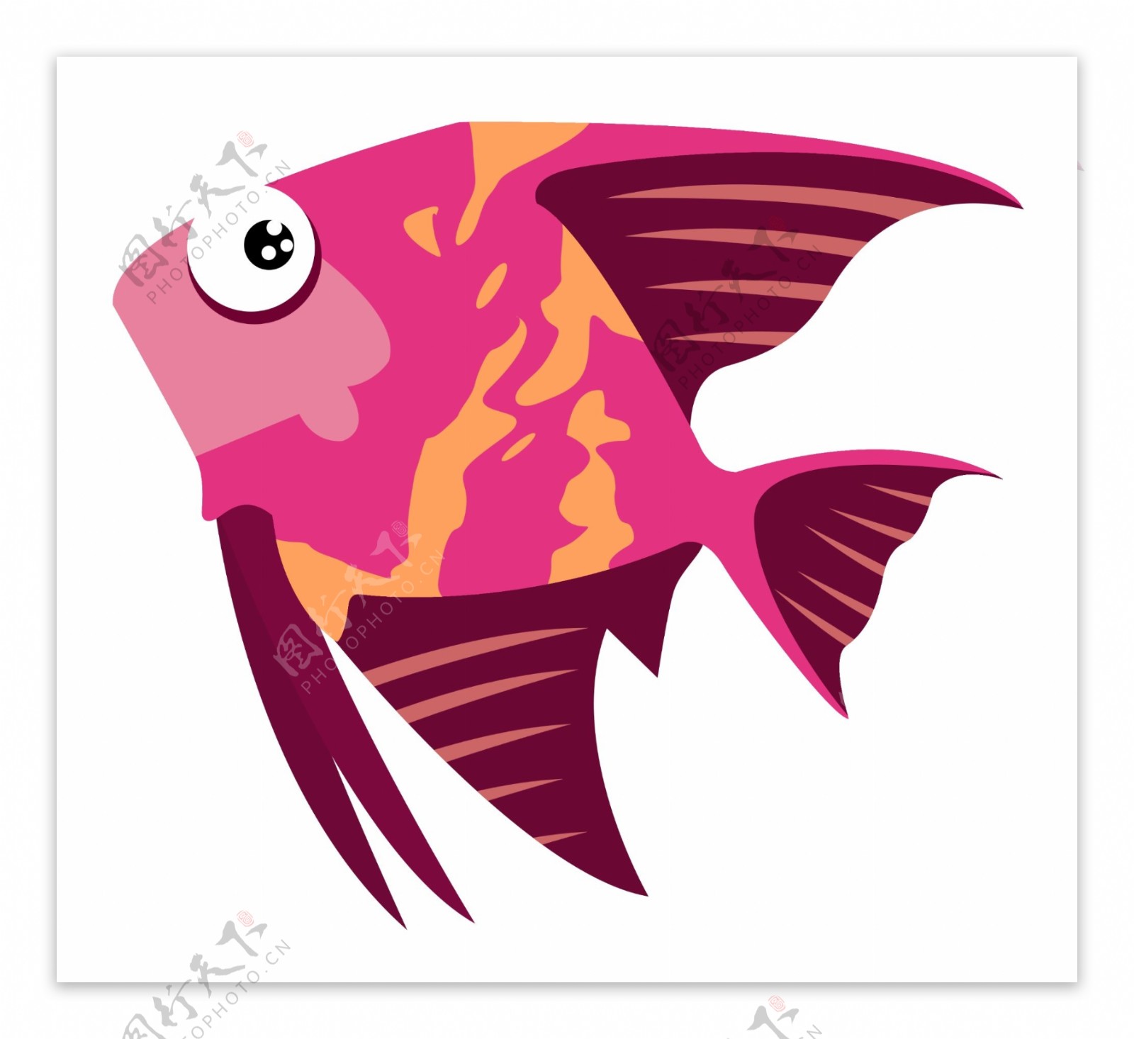 红色燕子鱼动物