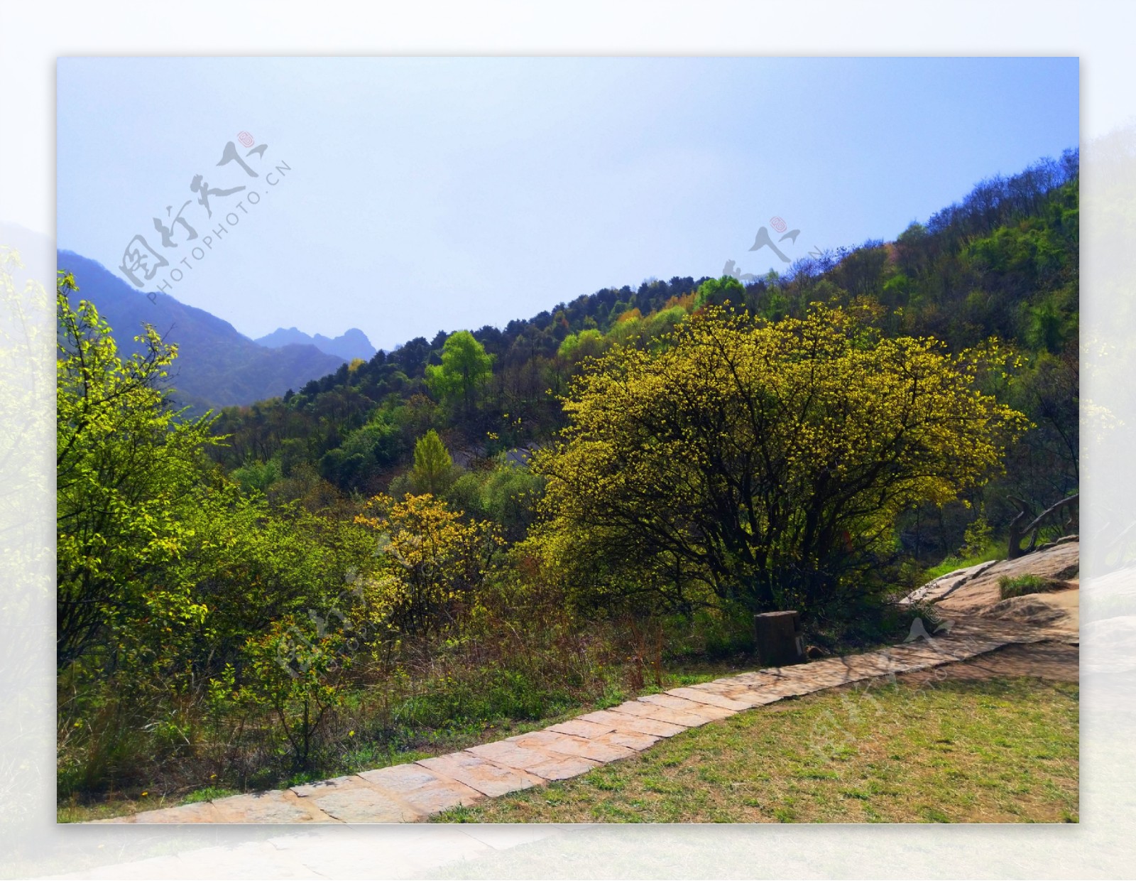 壮丽的大山风景