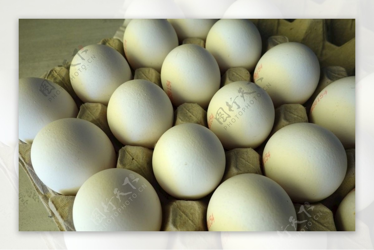 为了教你剥鸡蛋壳，科学家煮了540个鸡蛋_科普中国网