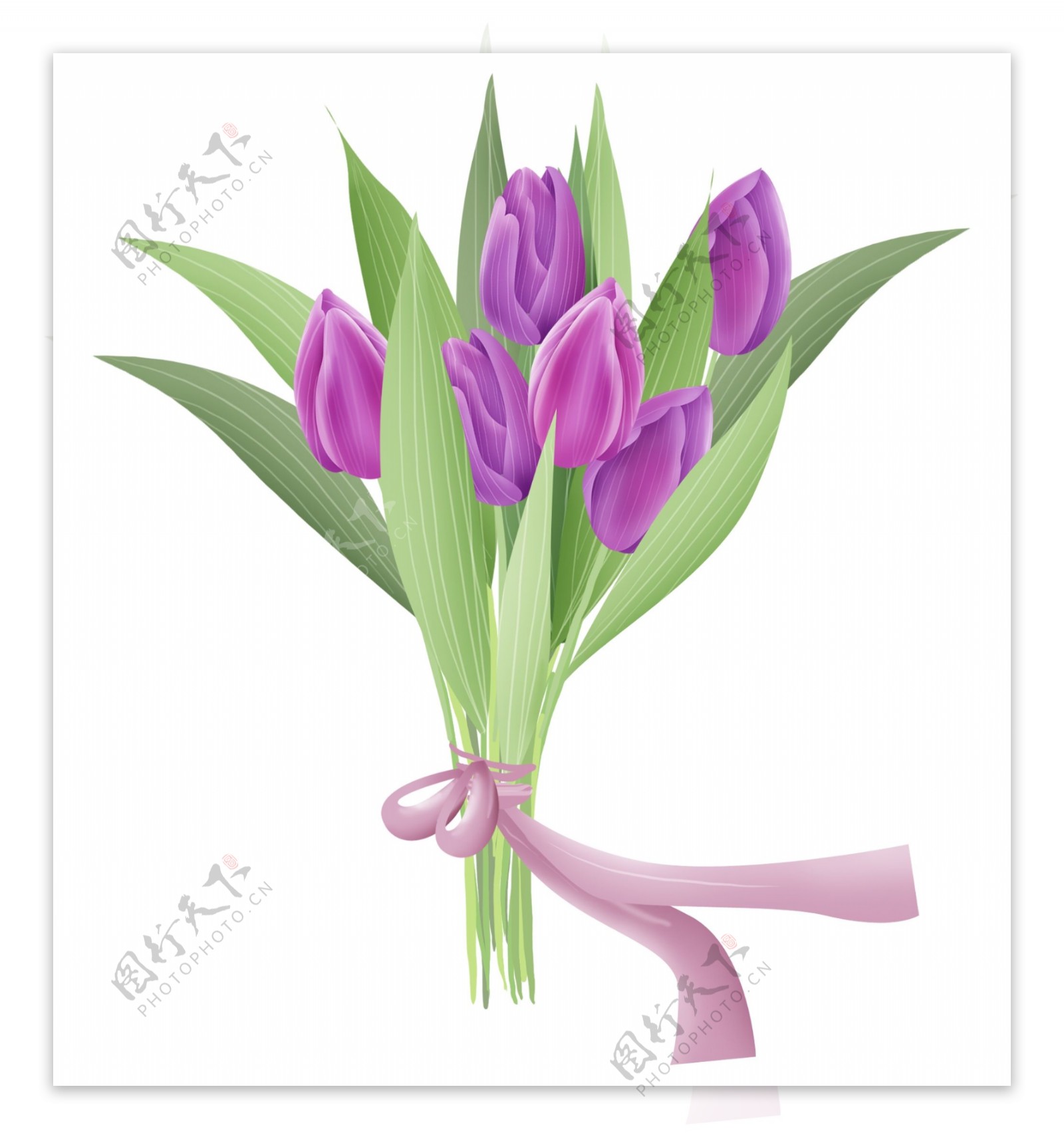 紫色郁金香花束