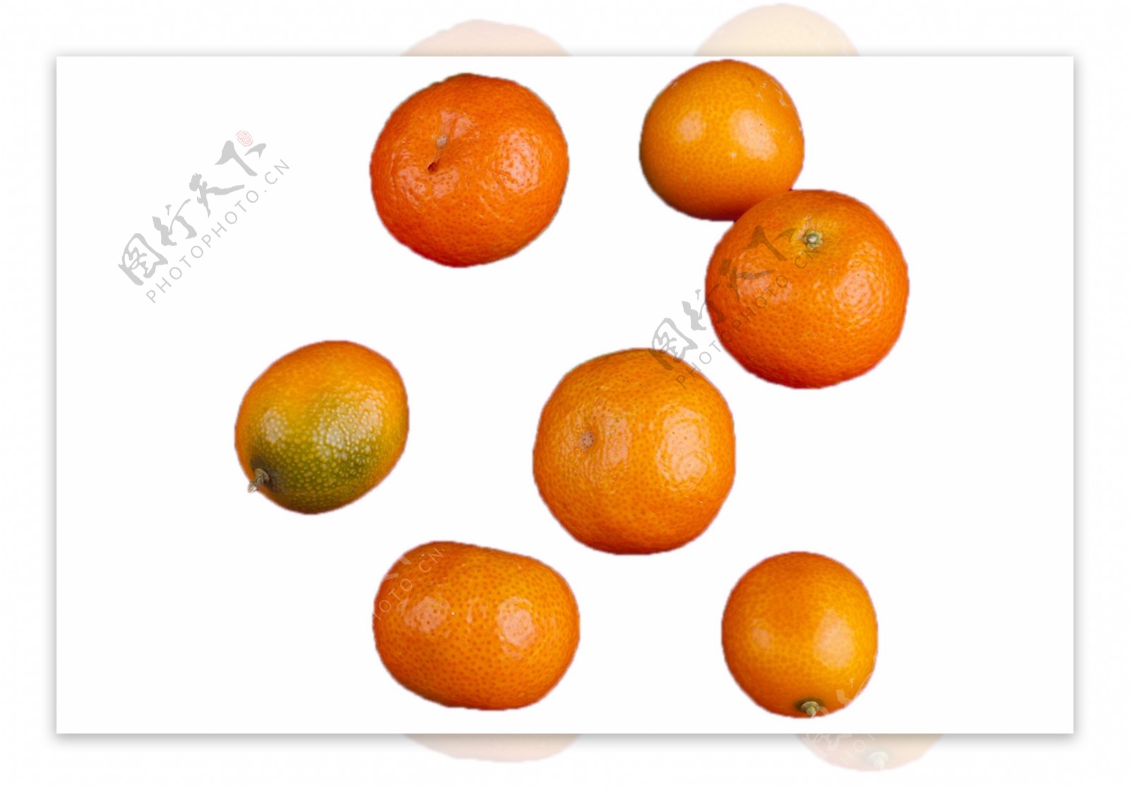 颜色鲜艳的美味橘子