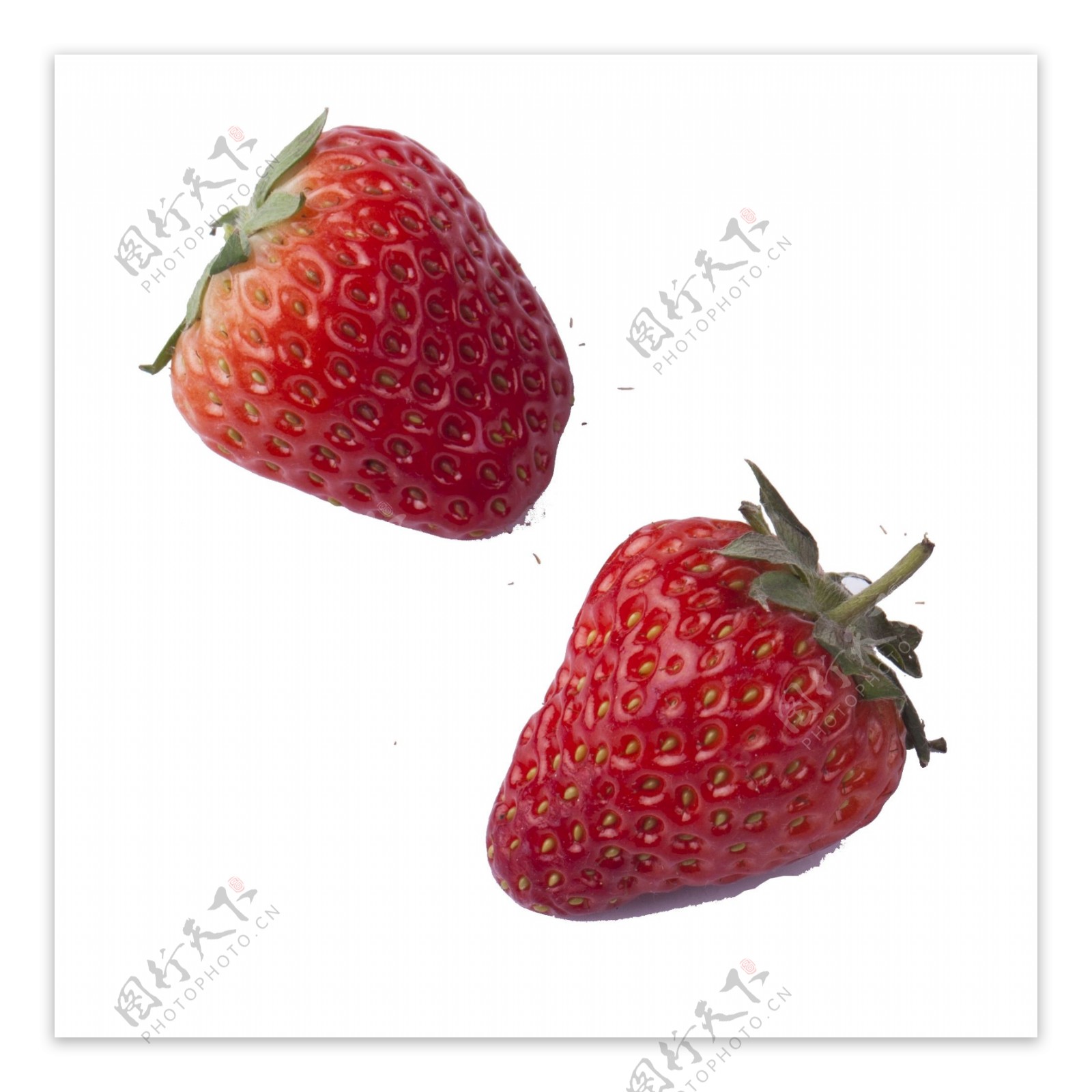 两颗新鲜的实物草莓免扣图