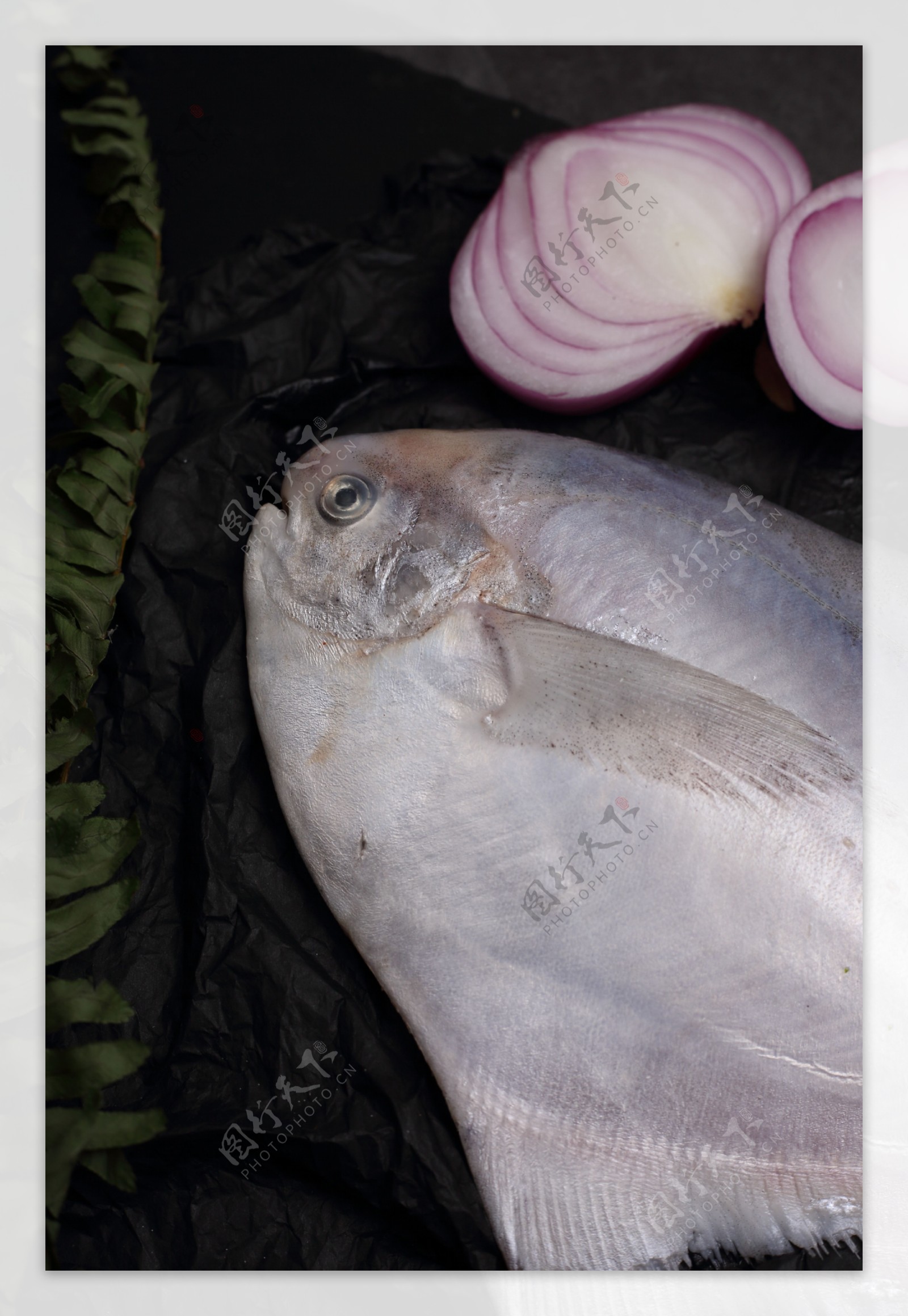 海鲜类食品海鲜食物30