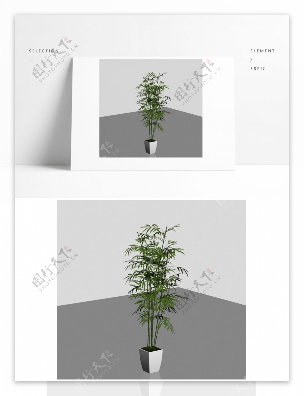 精细盆景植物模型