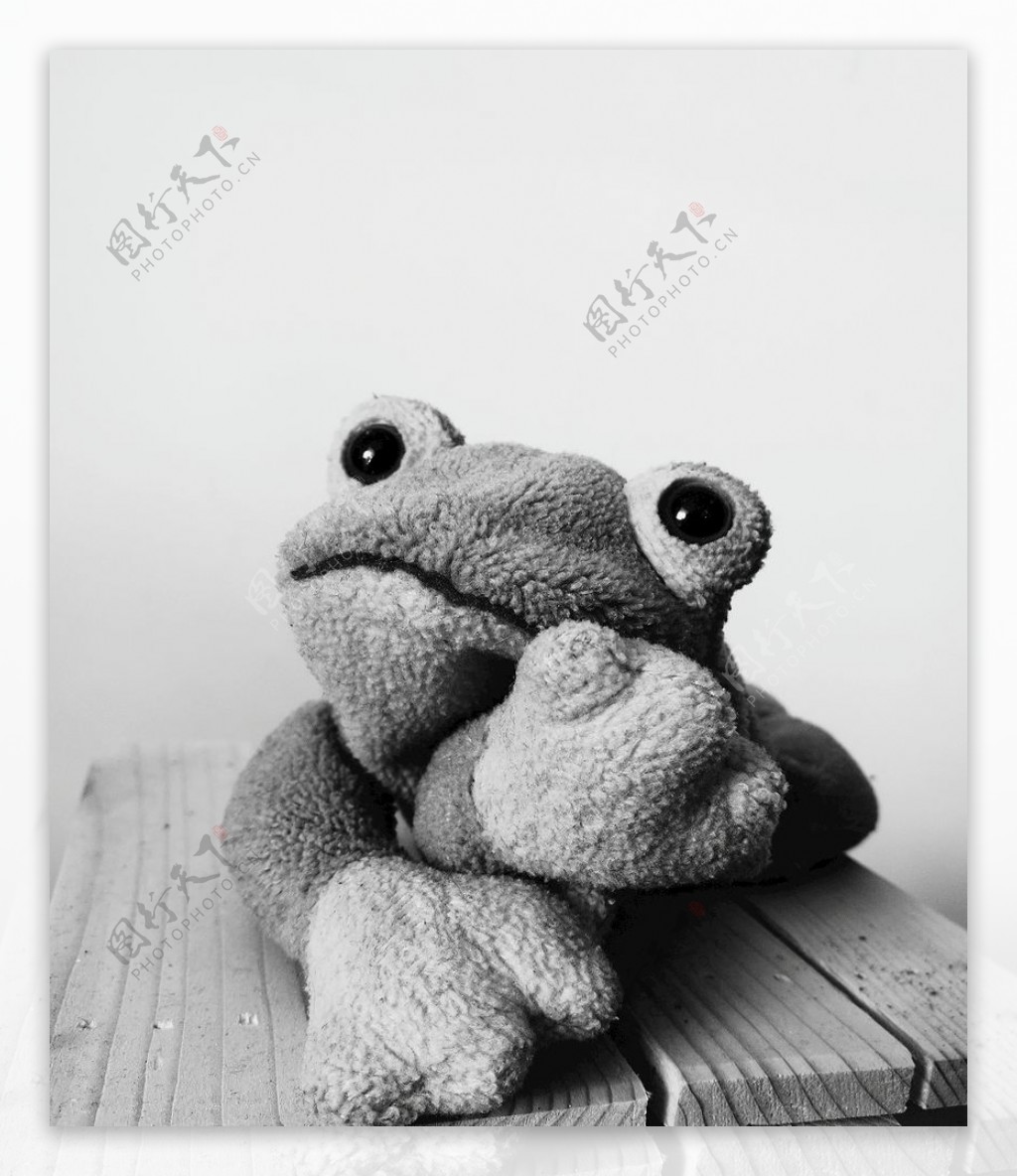 可爱摇粒绒青蛙玩偶黑白照片