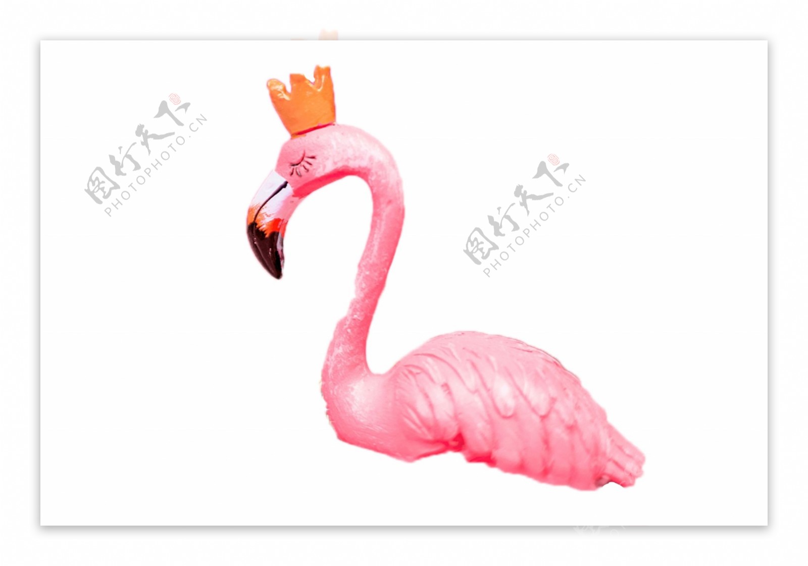 粉色的鸟