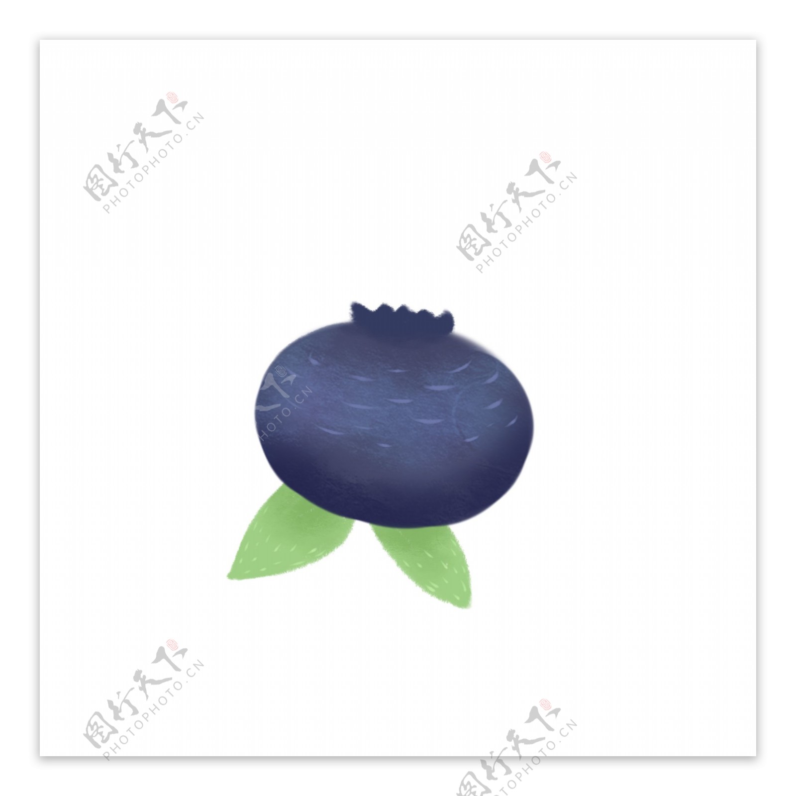 食物水果蓝莓