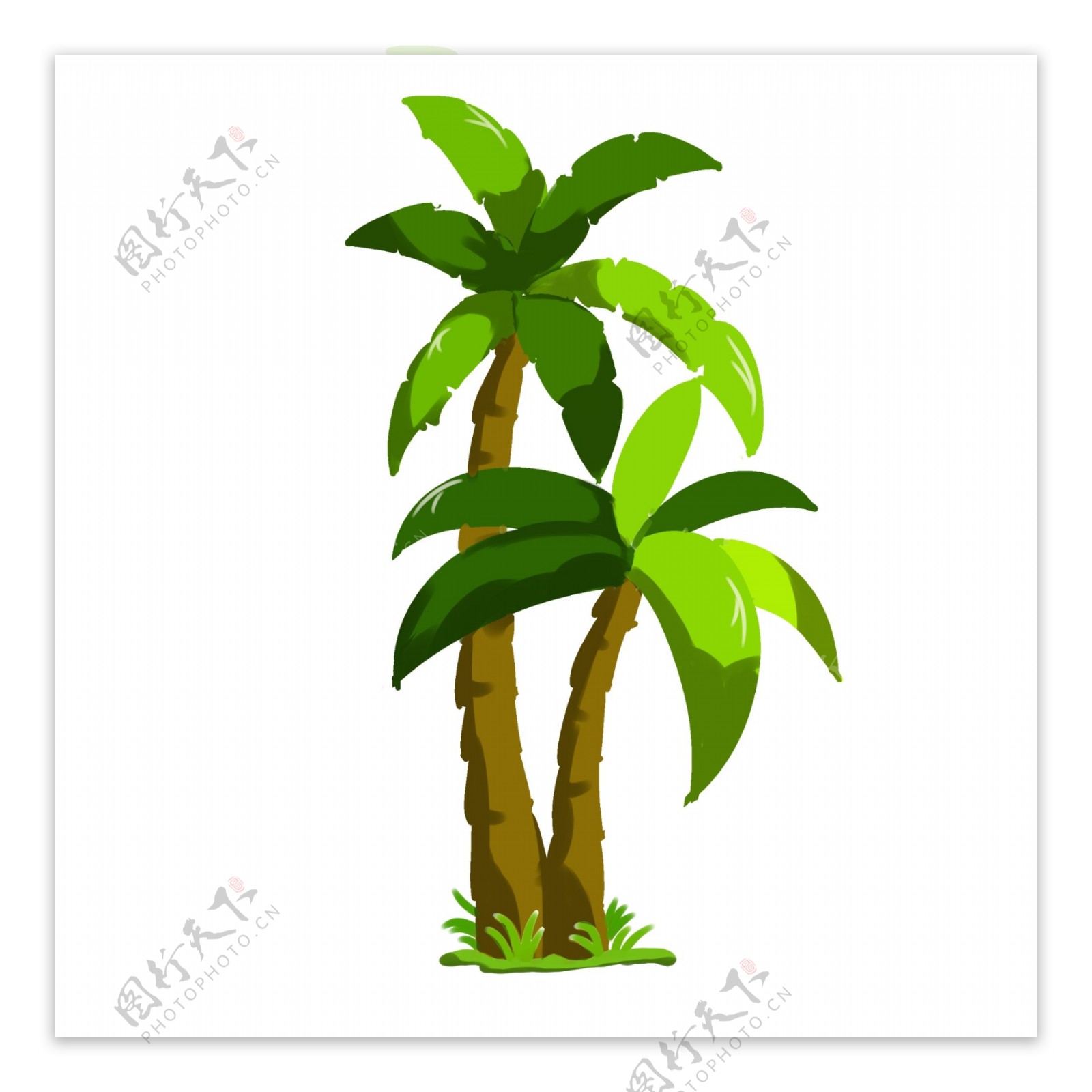 立体绿色椰子树