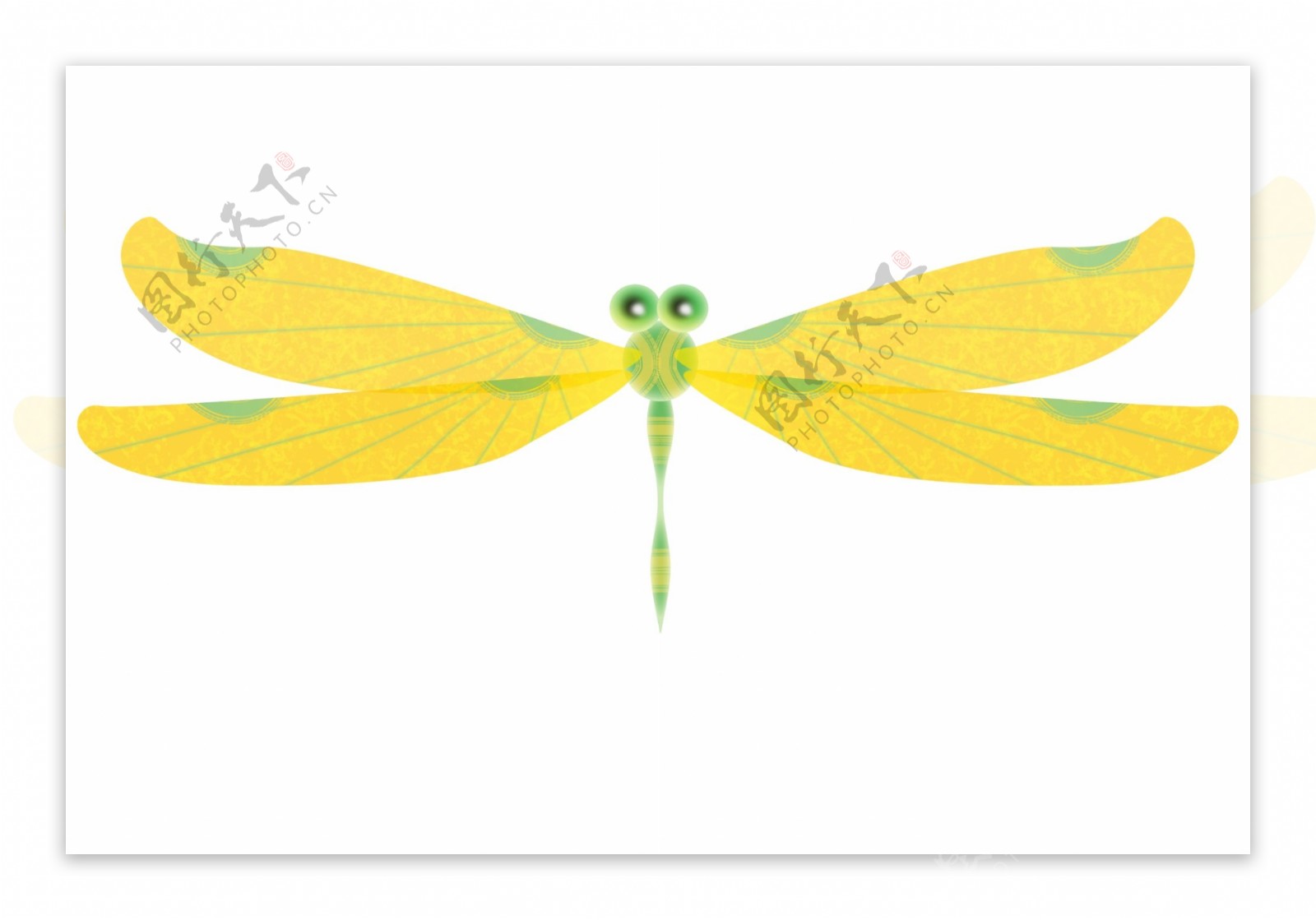 黄色蜻蜓飞虫