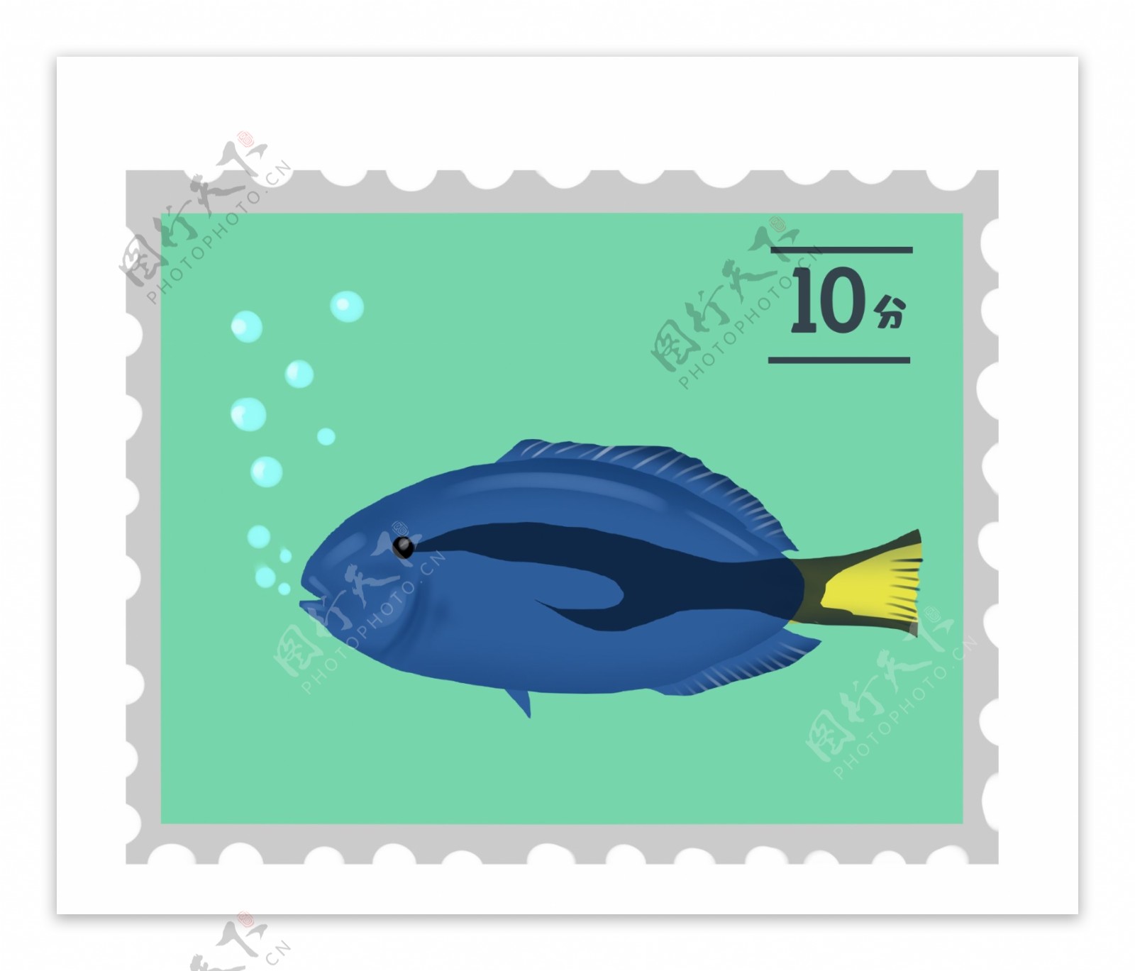 蓝肚鱼动物邮票