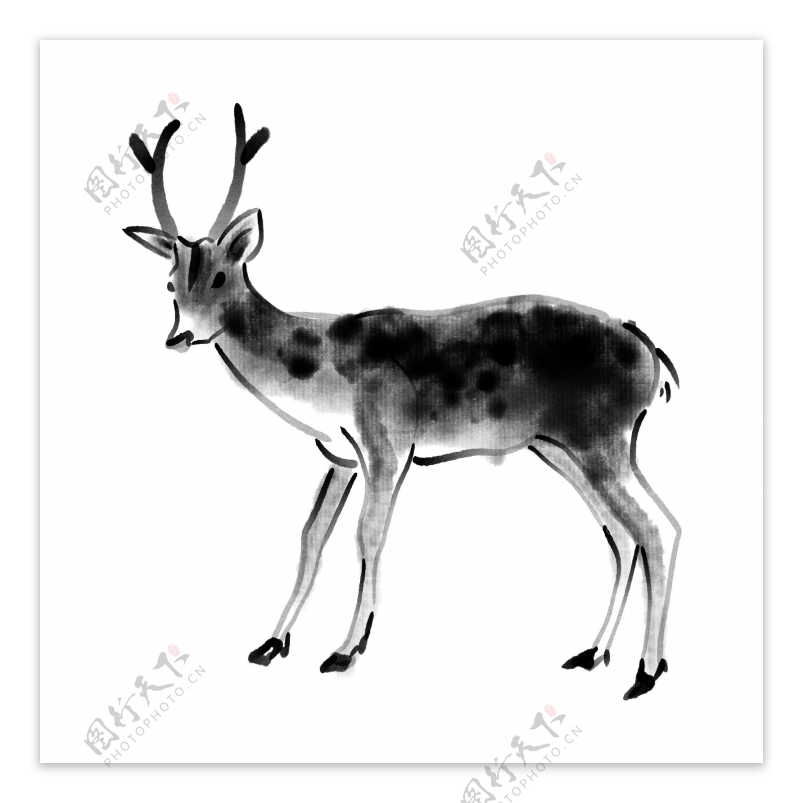 小鹿国画水墨动物