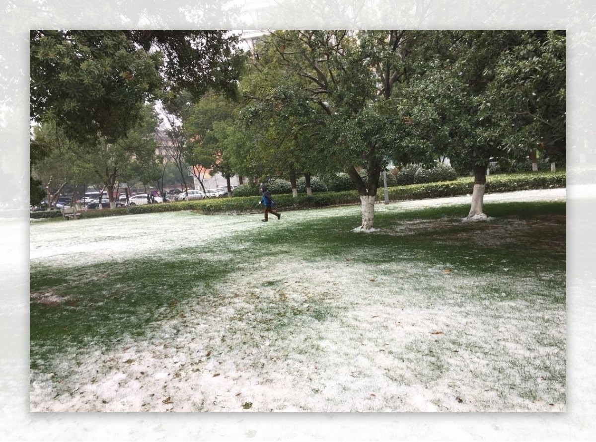 雪景下雪公园