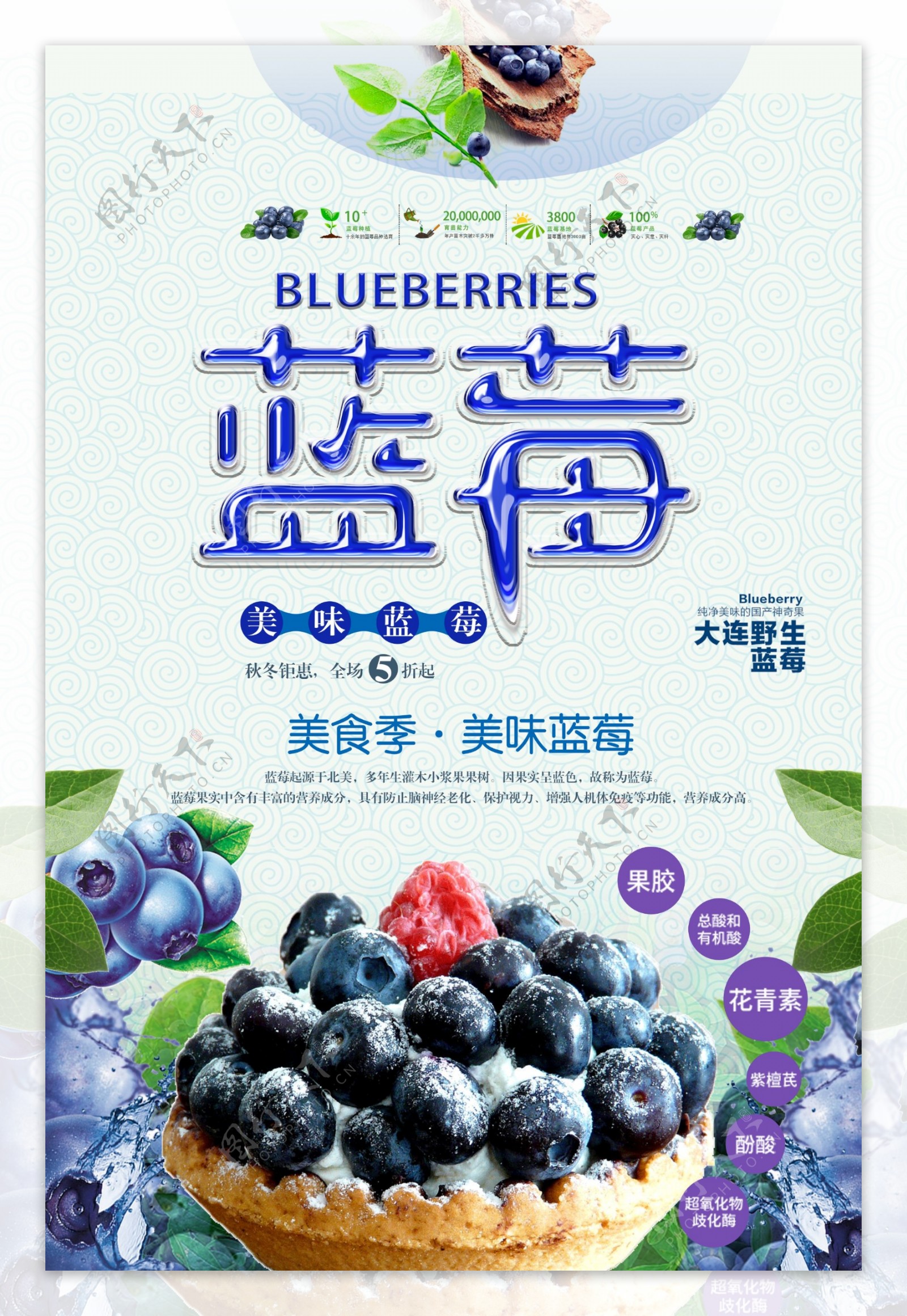 蓝莓上新海报