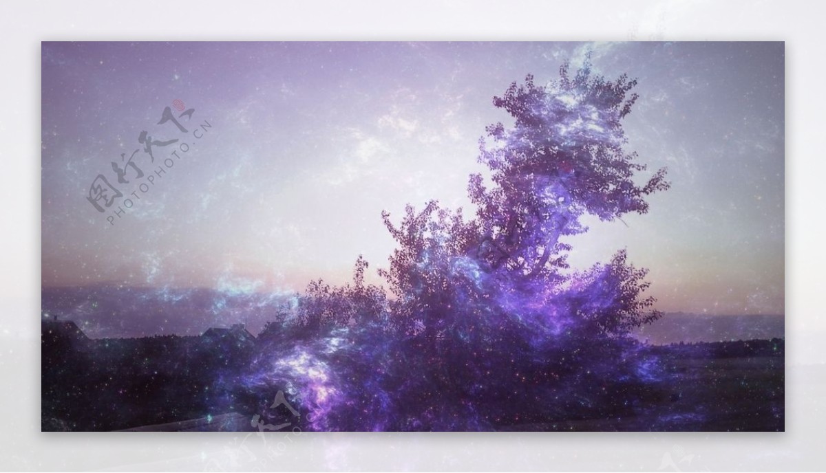 紫色荧光树木