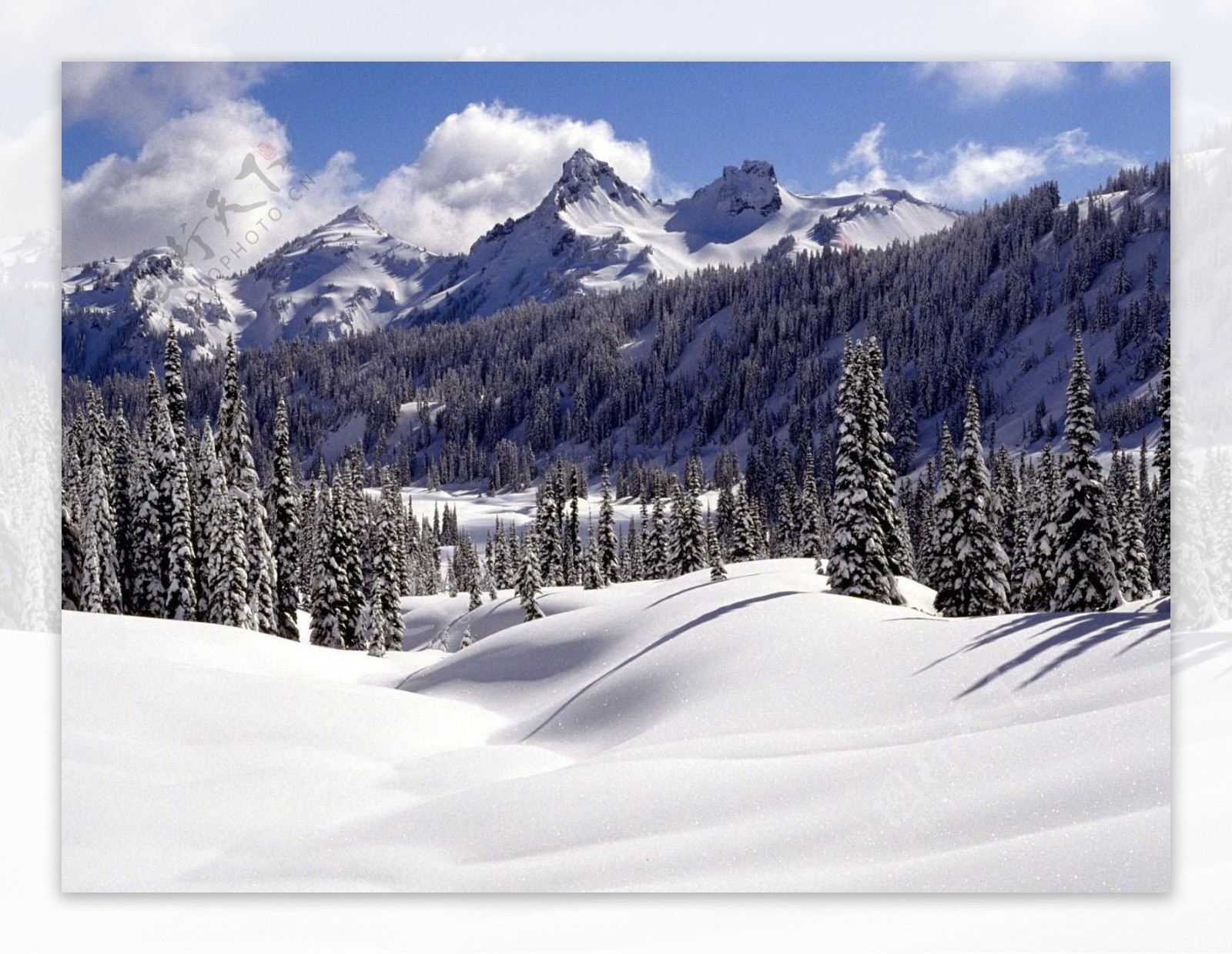 唯美冬日雪景纯白绝美