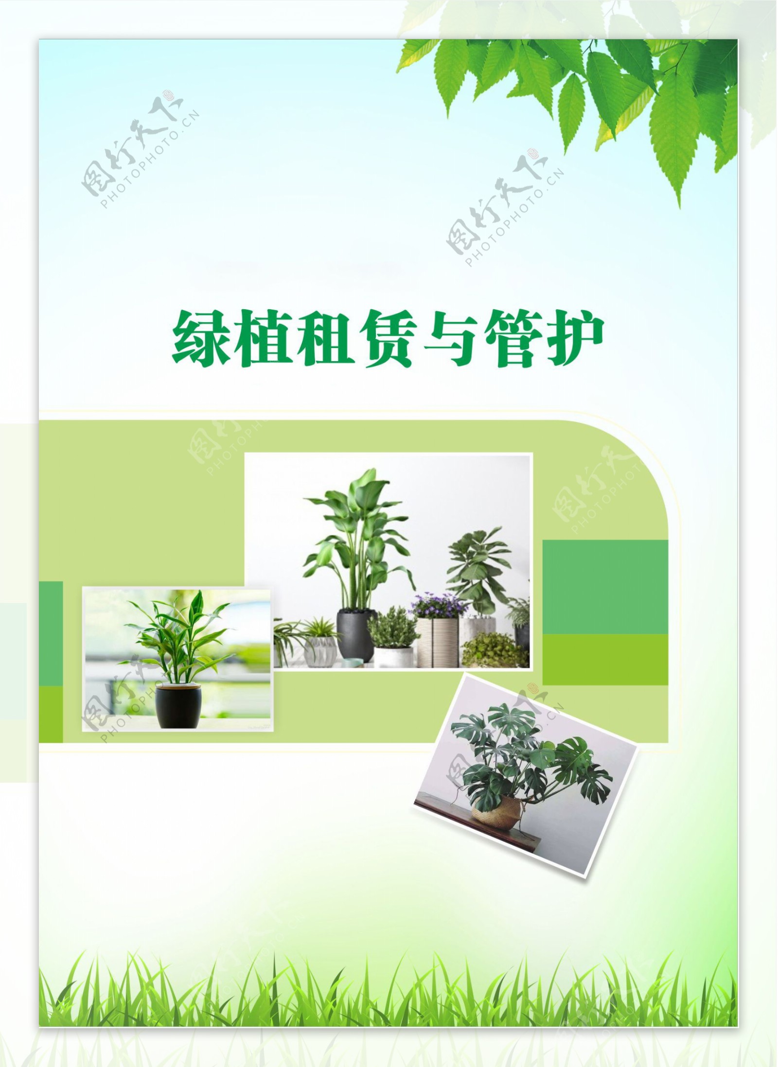 绿植宣传册