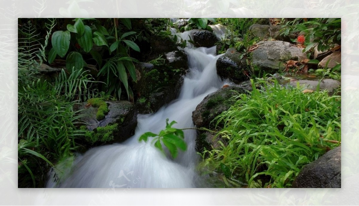 流水潺潺高清自然风景