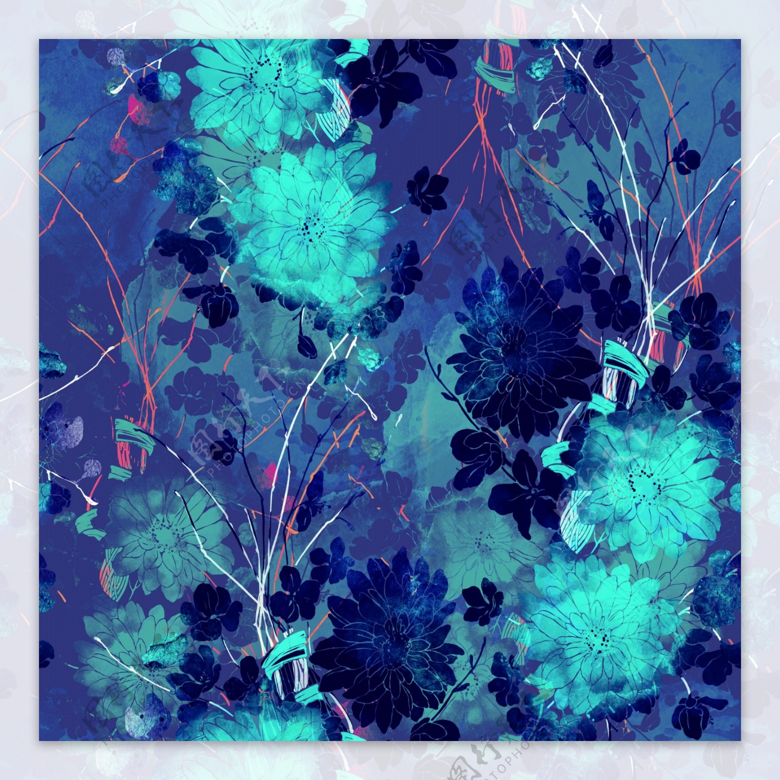 蓝菊花