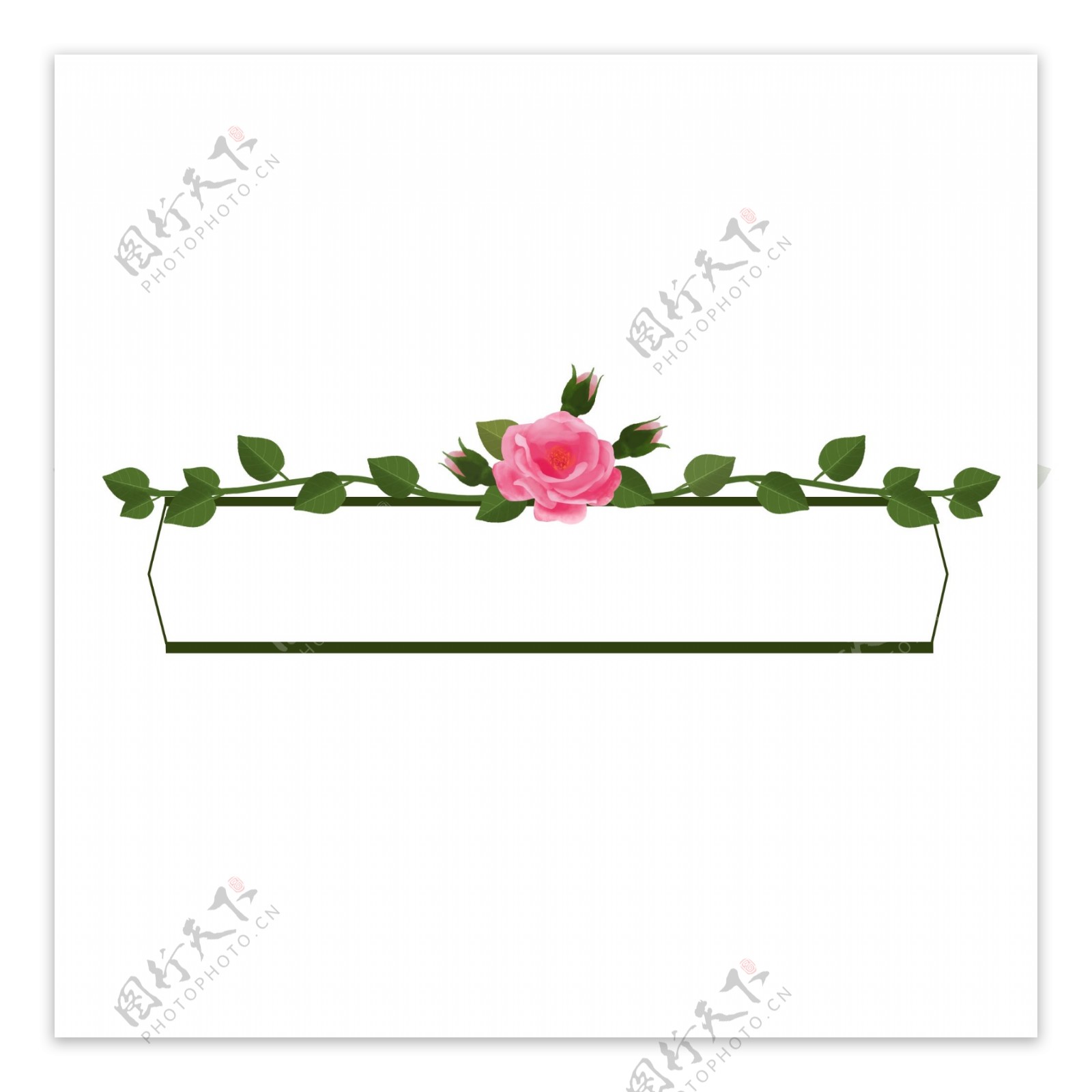 标题栏手绘玫瑰绿叶粉色蔷薇花骨朵叶子藤蔓