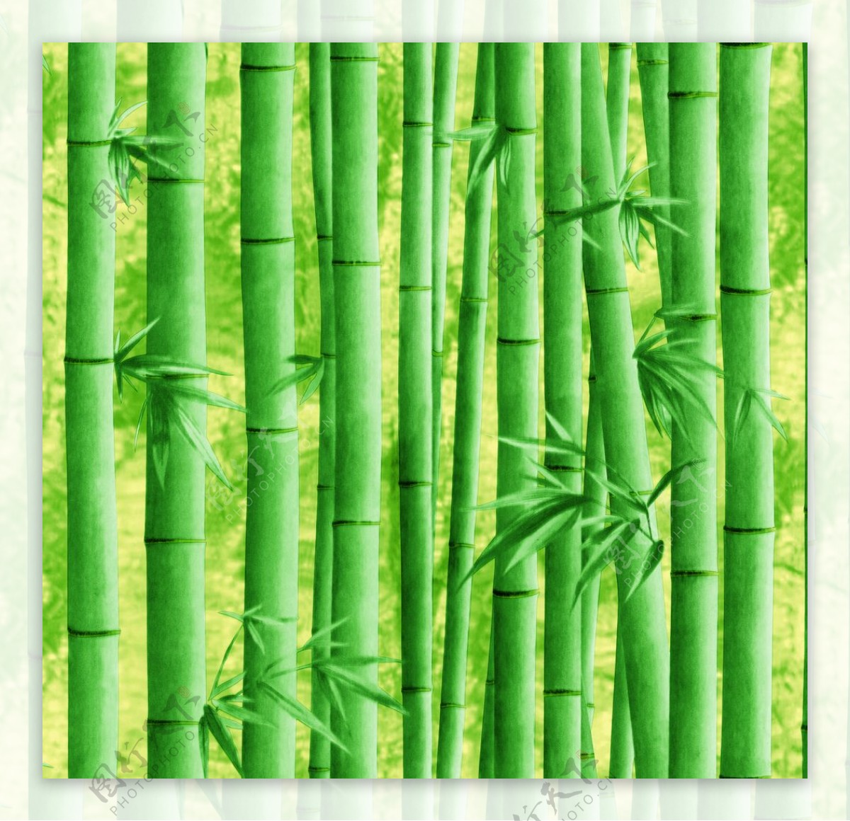 中式竹林