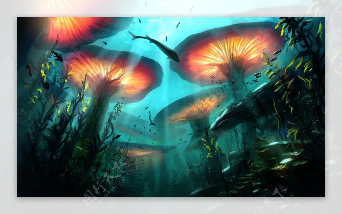 彩色海底鱼群插画背景