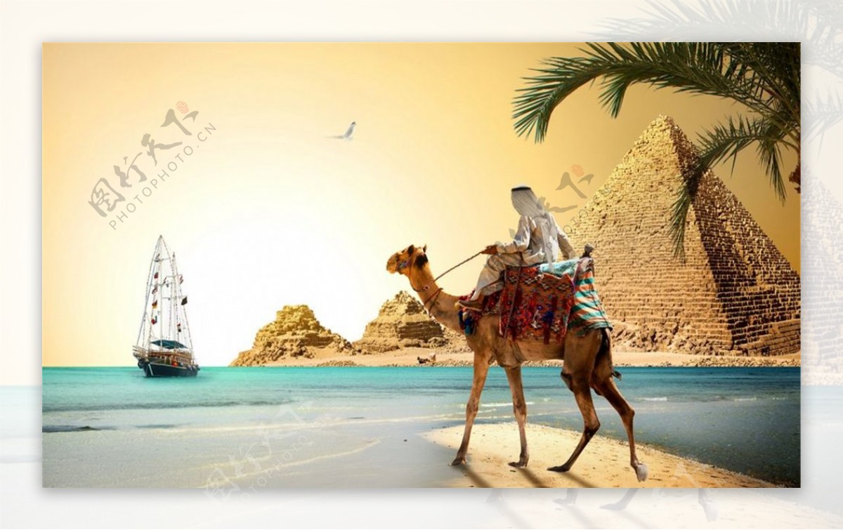 埃及金字塔骆驼海边场景