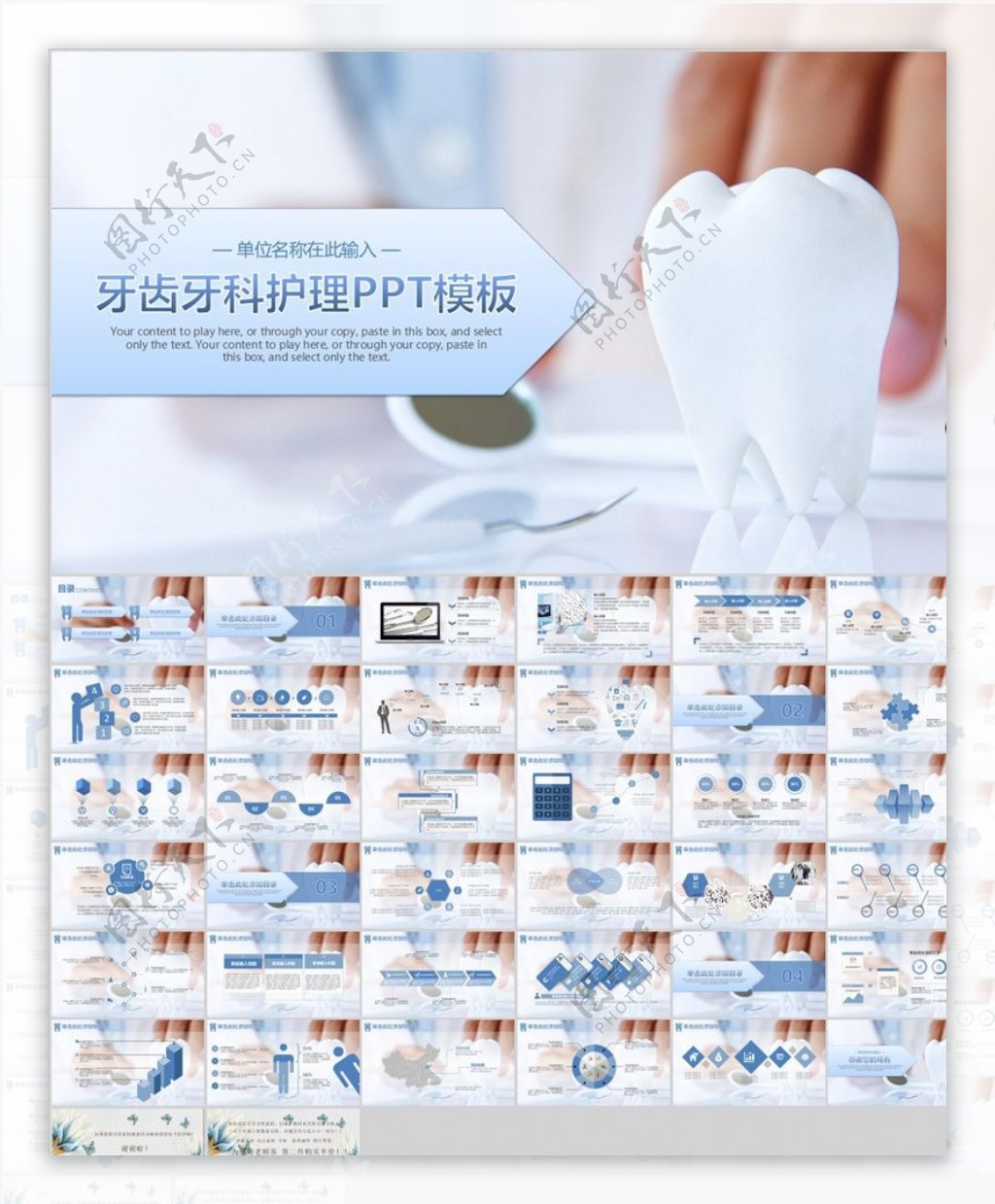 牙科护理PPT模板