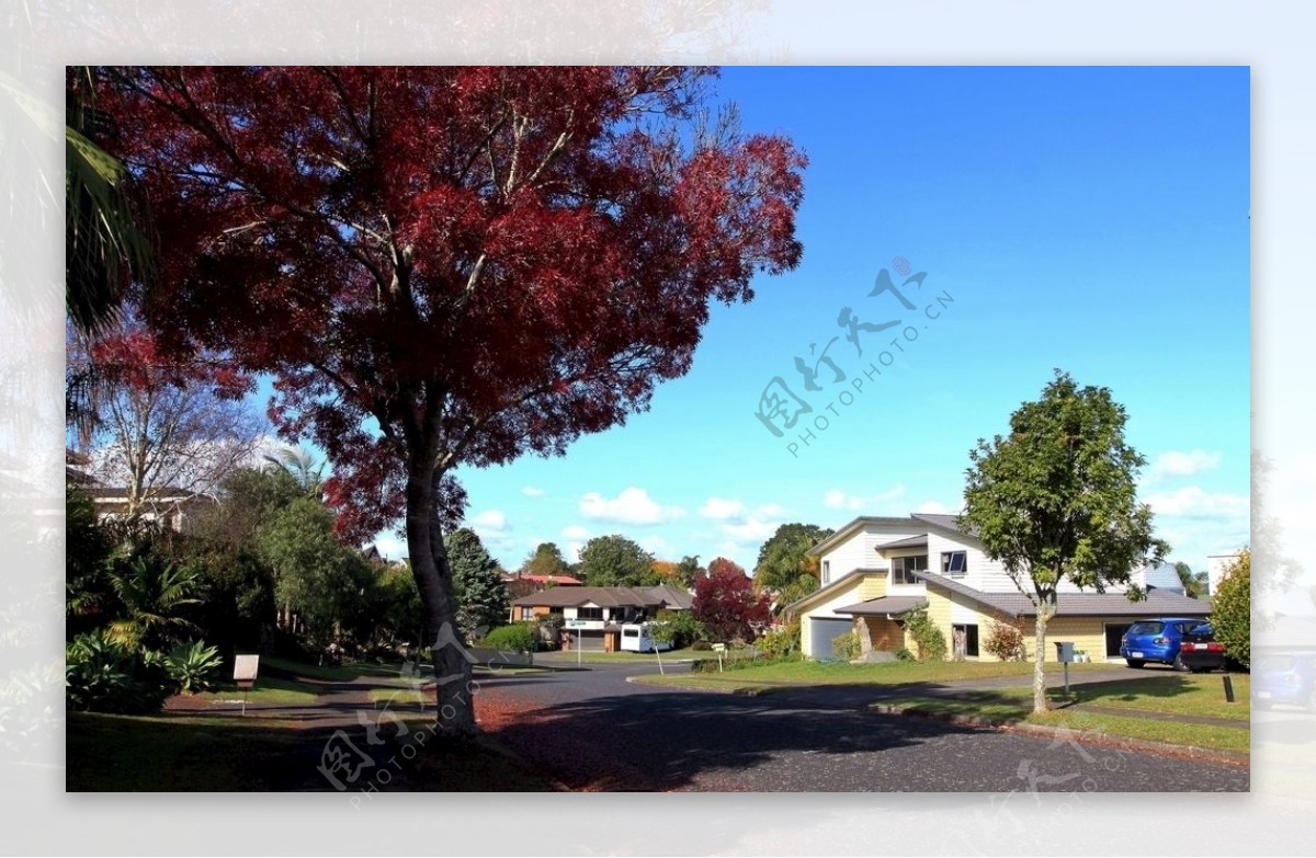 秋天的新西兰小镇风景