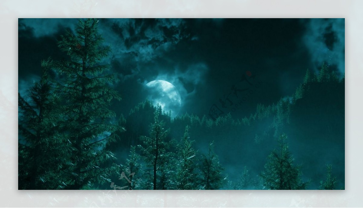 写实类自然场景夜幕下的森林