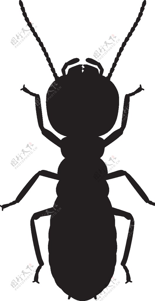 昆虫系列白蚁剪影