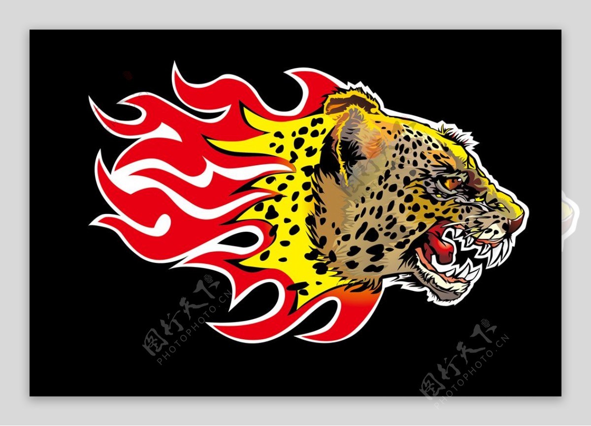 动物图标系列火焰猎豹头像