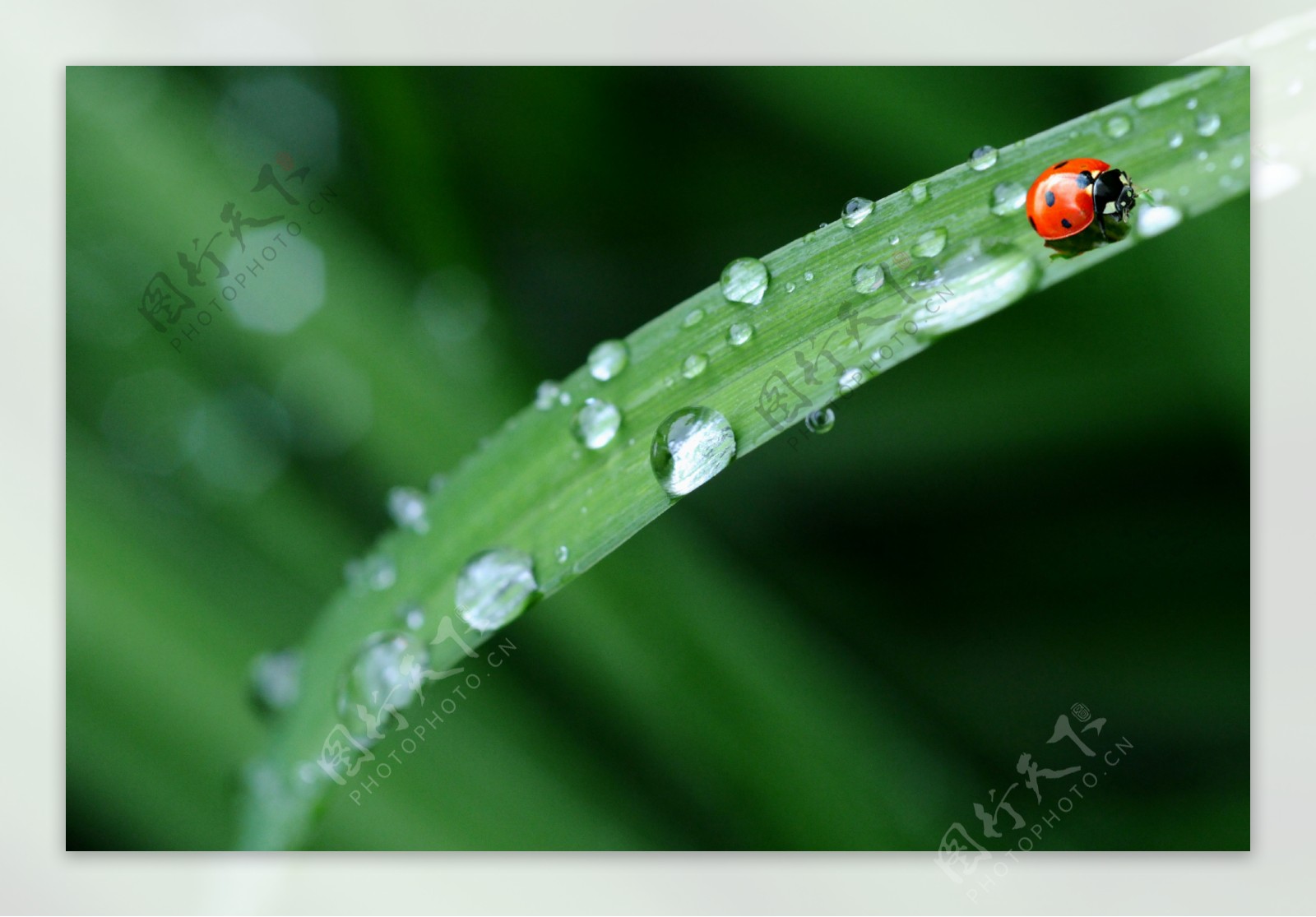 水珠水纹雨滴