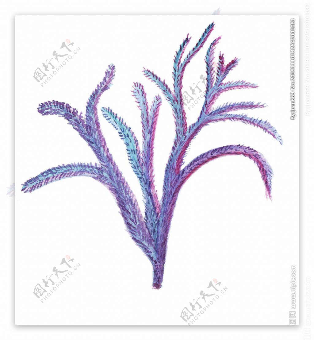 手绘彩色水彩珊瑚花