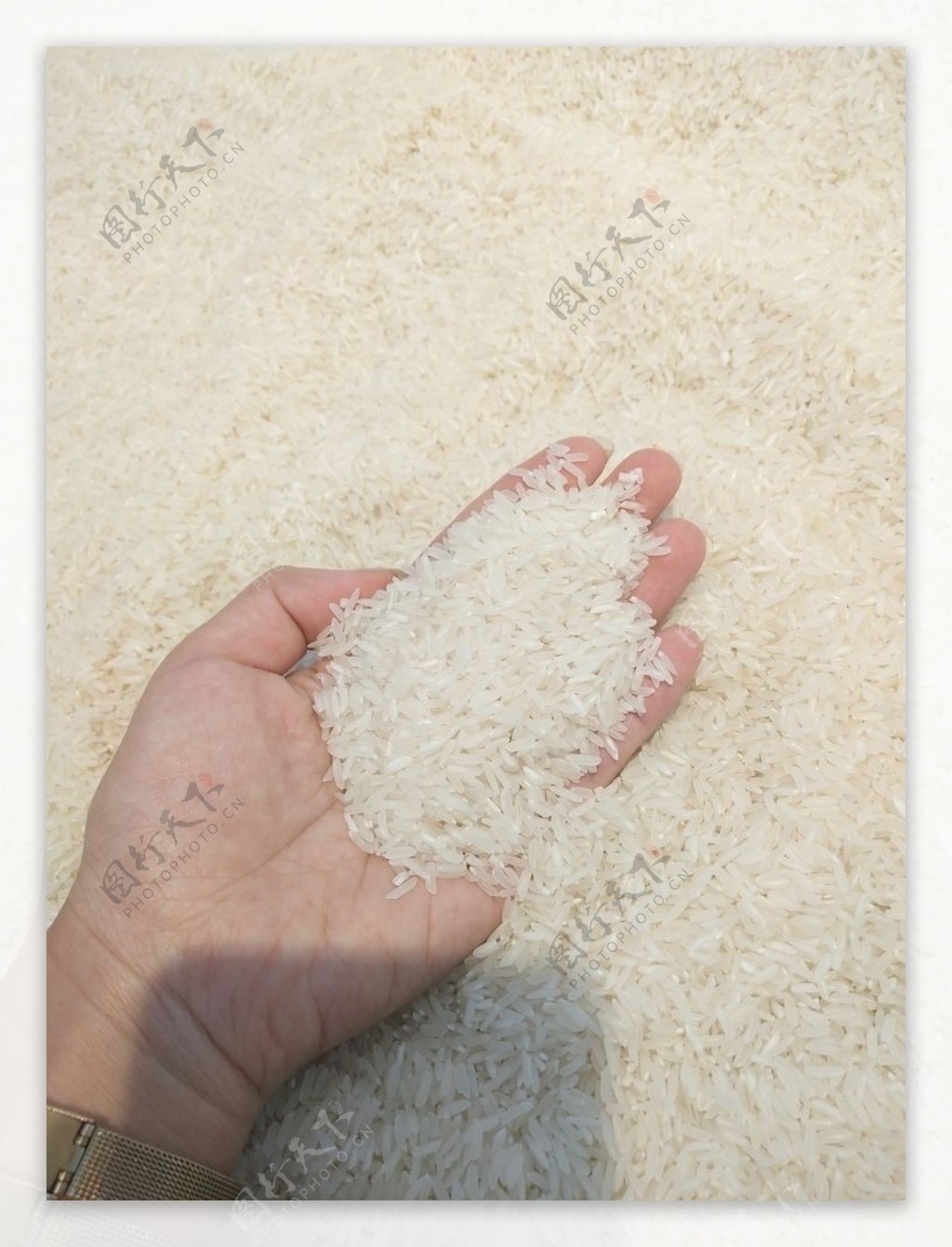 农家油粘米