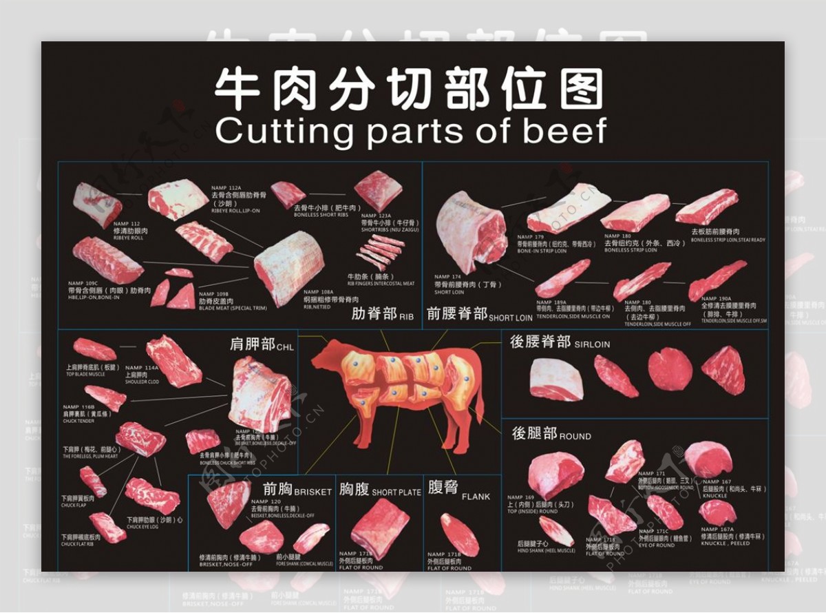 牛肉分割图